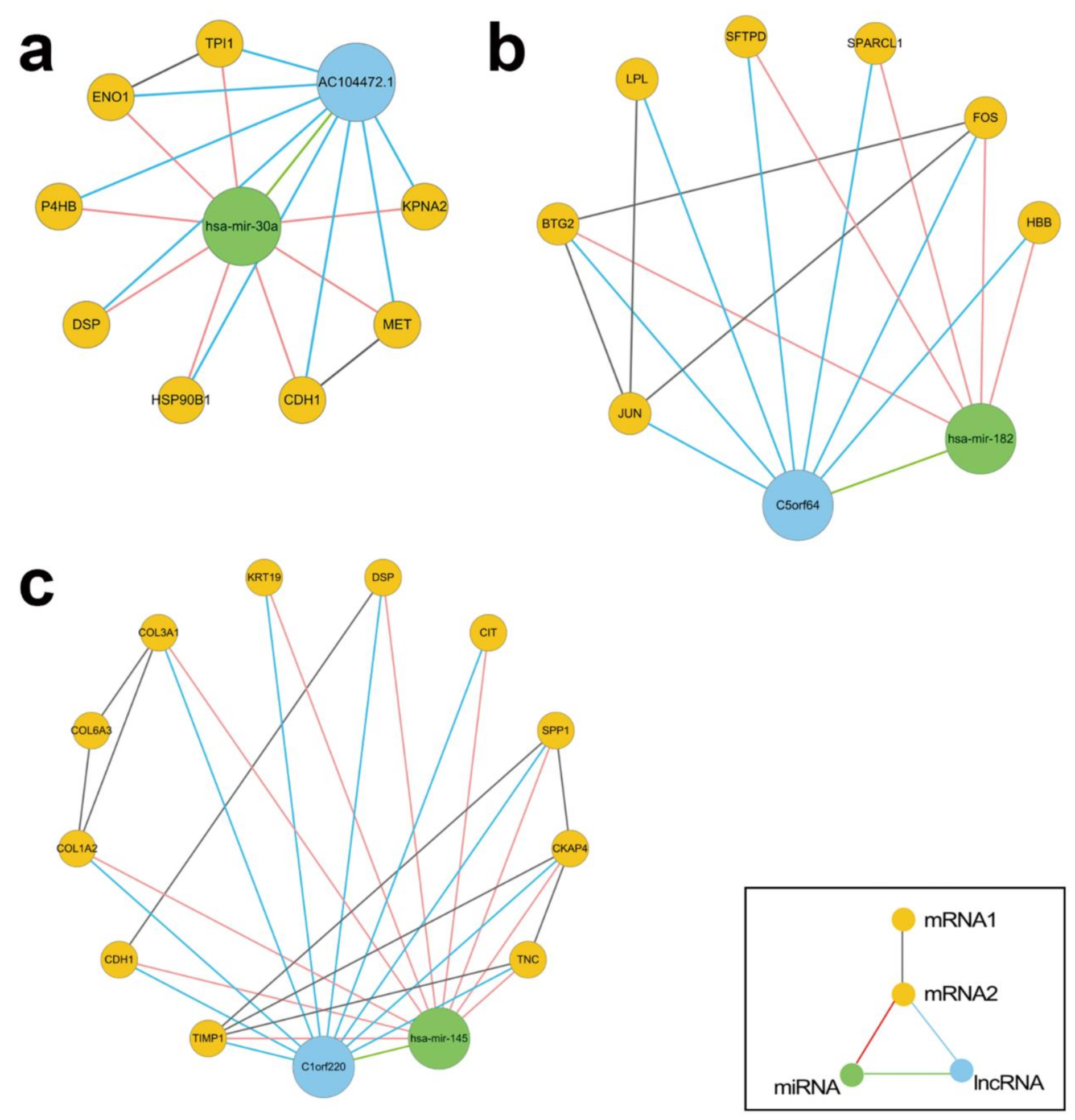 Biology 11 01291 g010