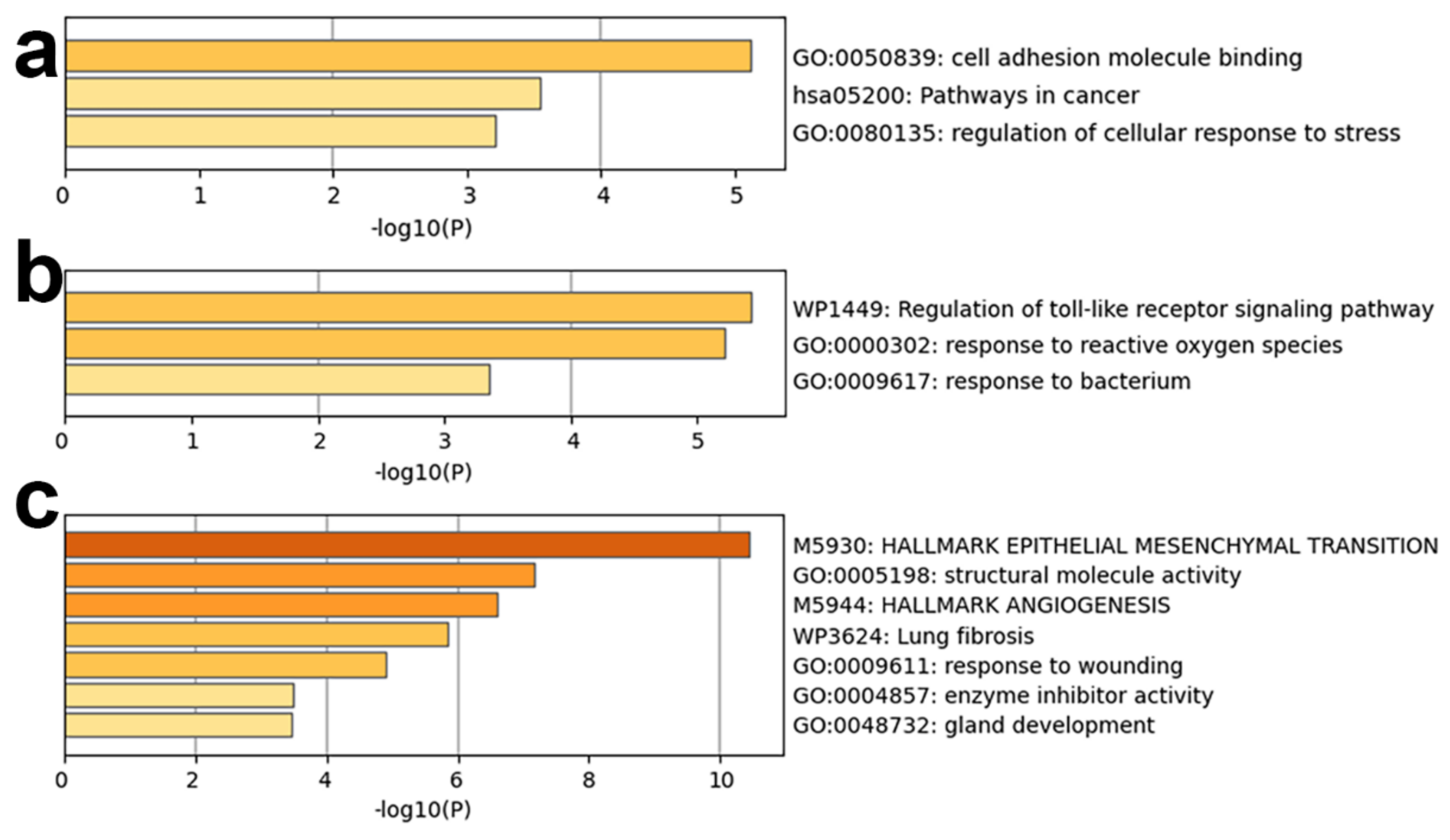 Biology 11 01291 g011