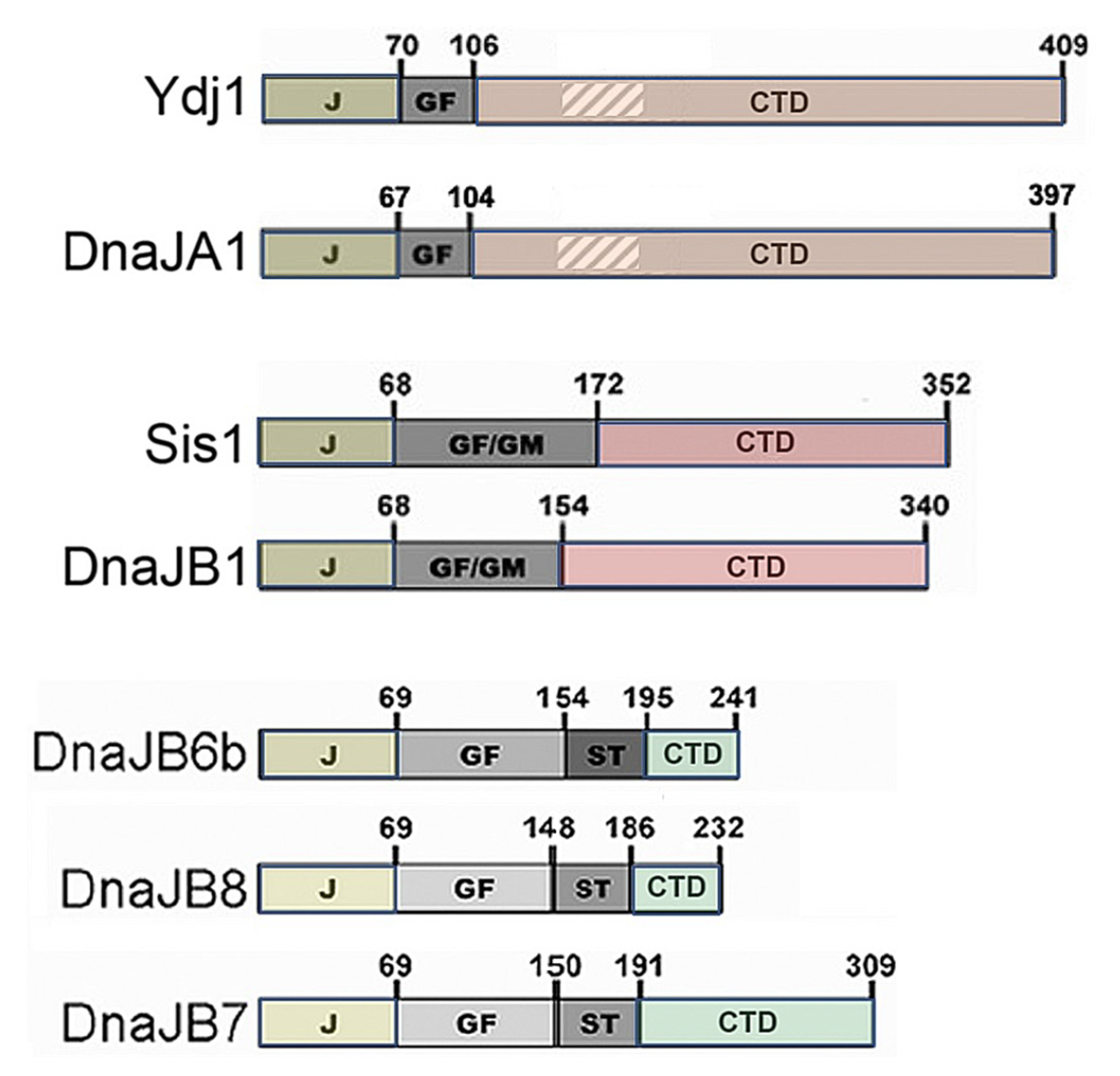 Biology 11 01292 g001 Biology 11 01292 g001