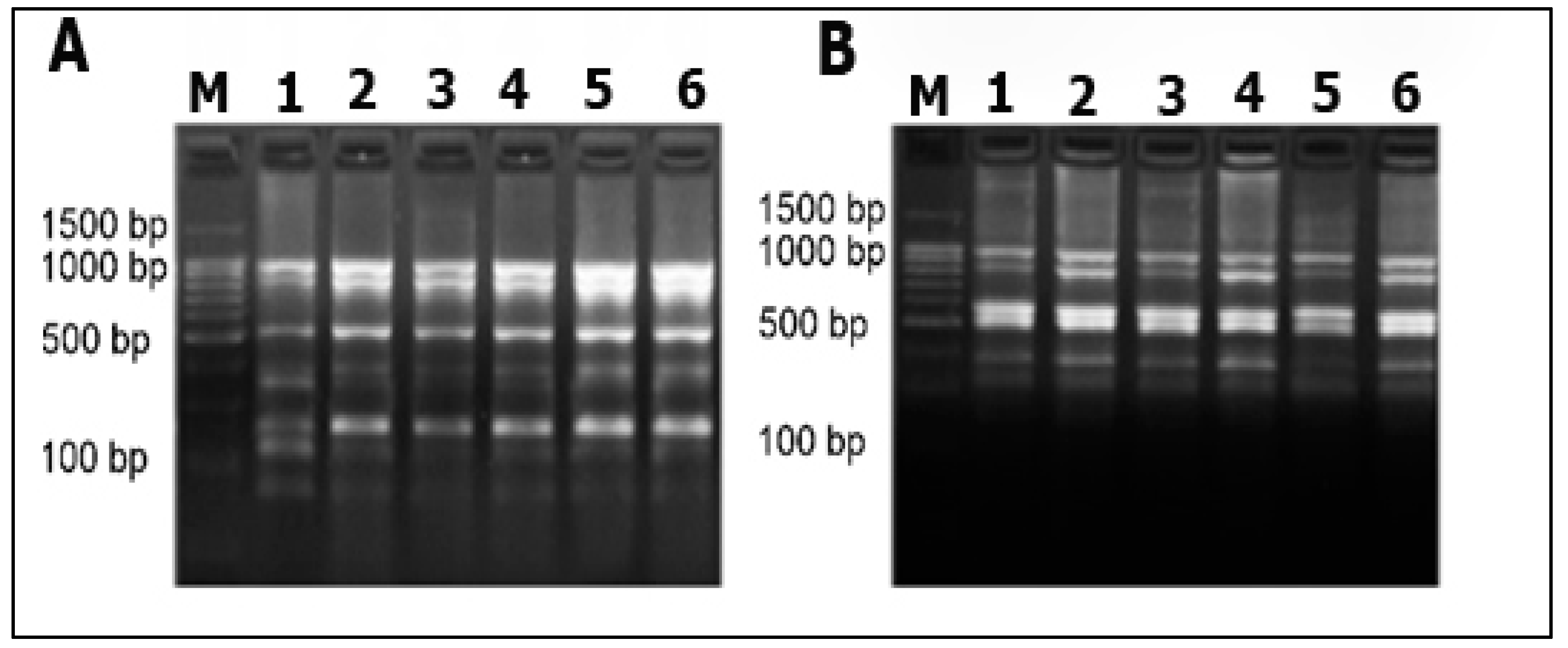 Biology 11 01305 g002