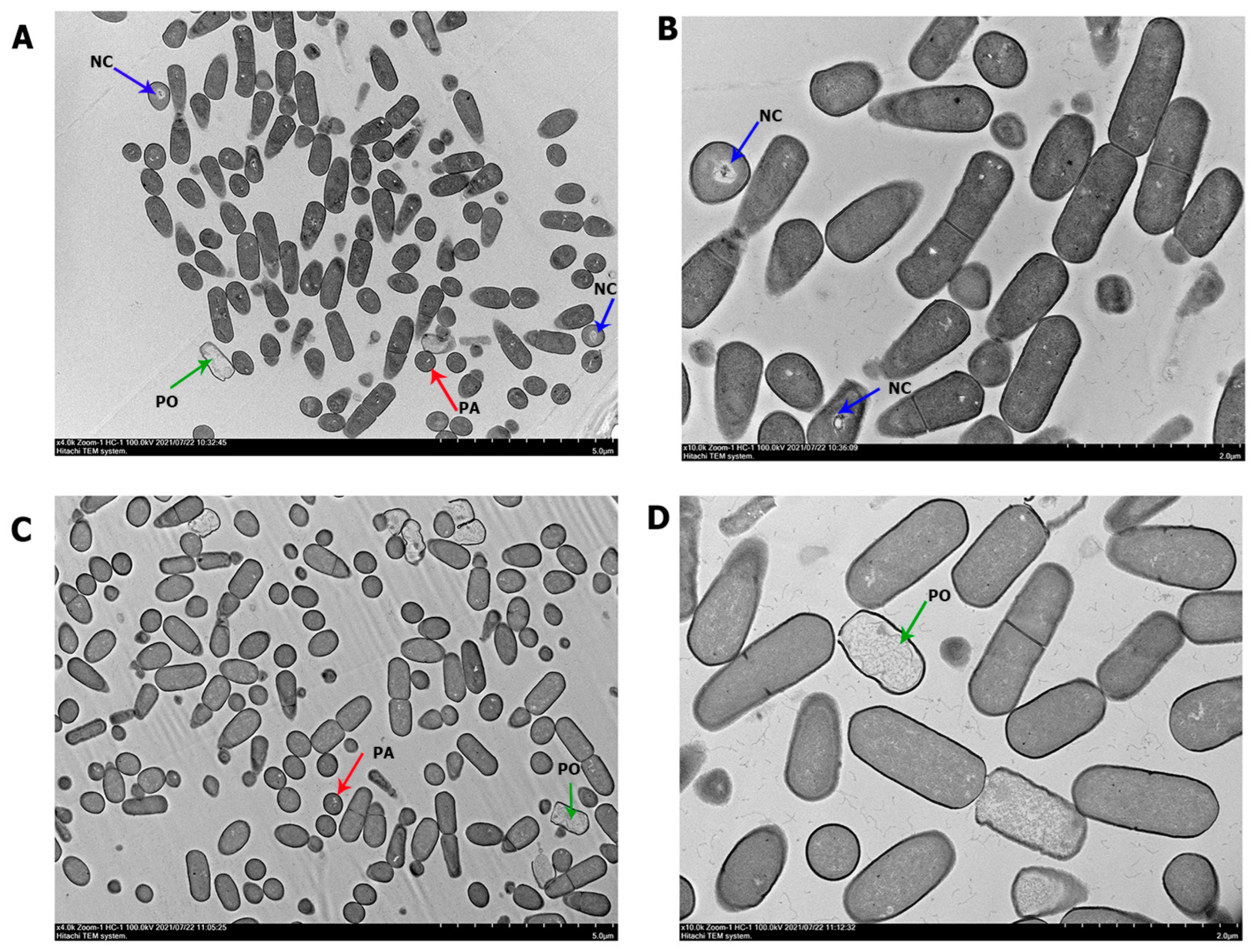 Biology 11 01305 g003