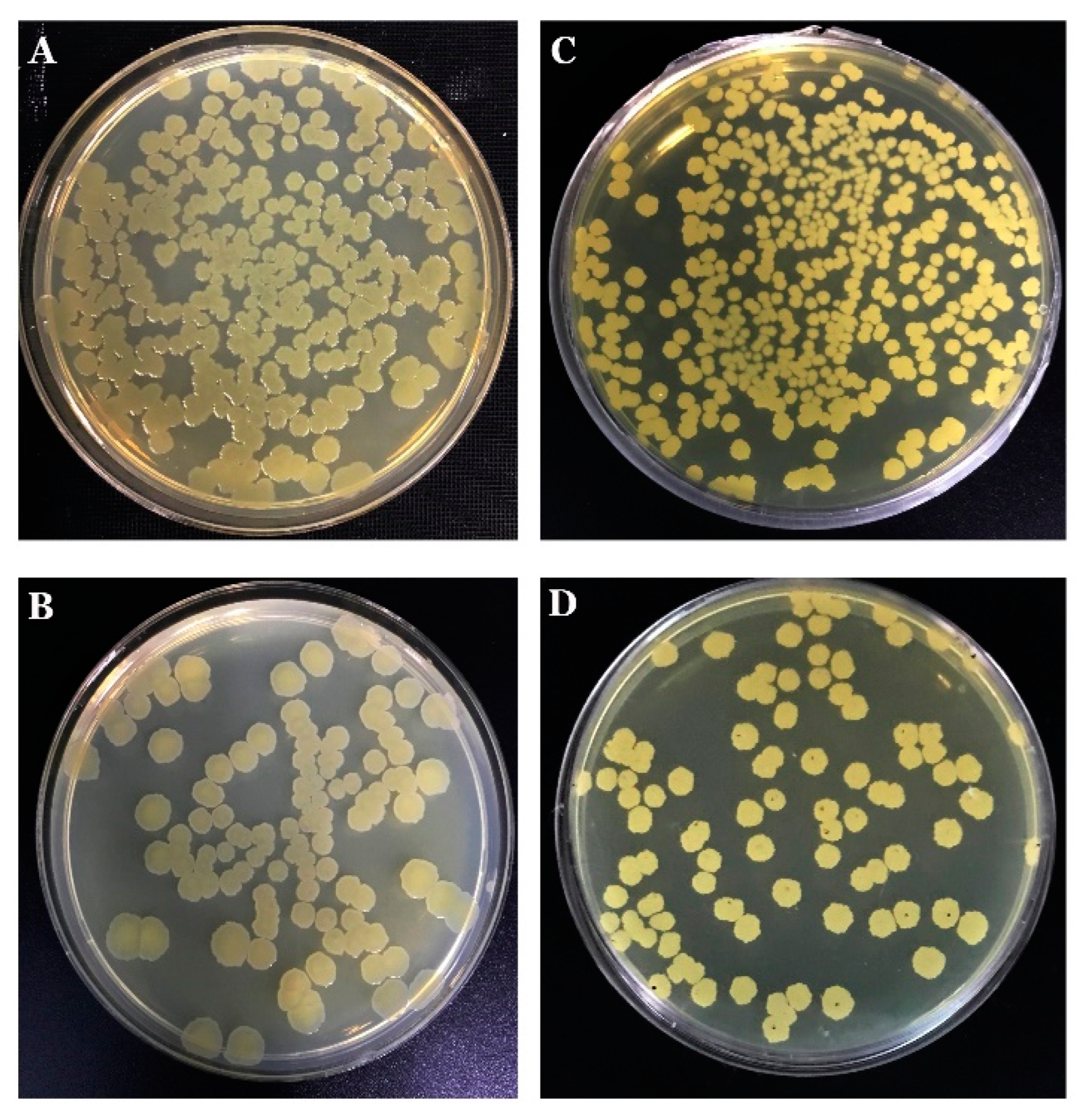 Biology 11 01305 g009