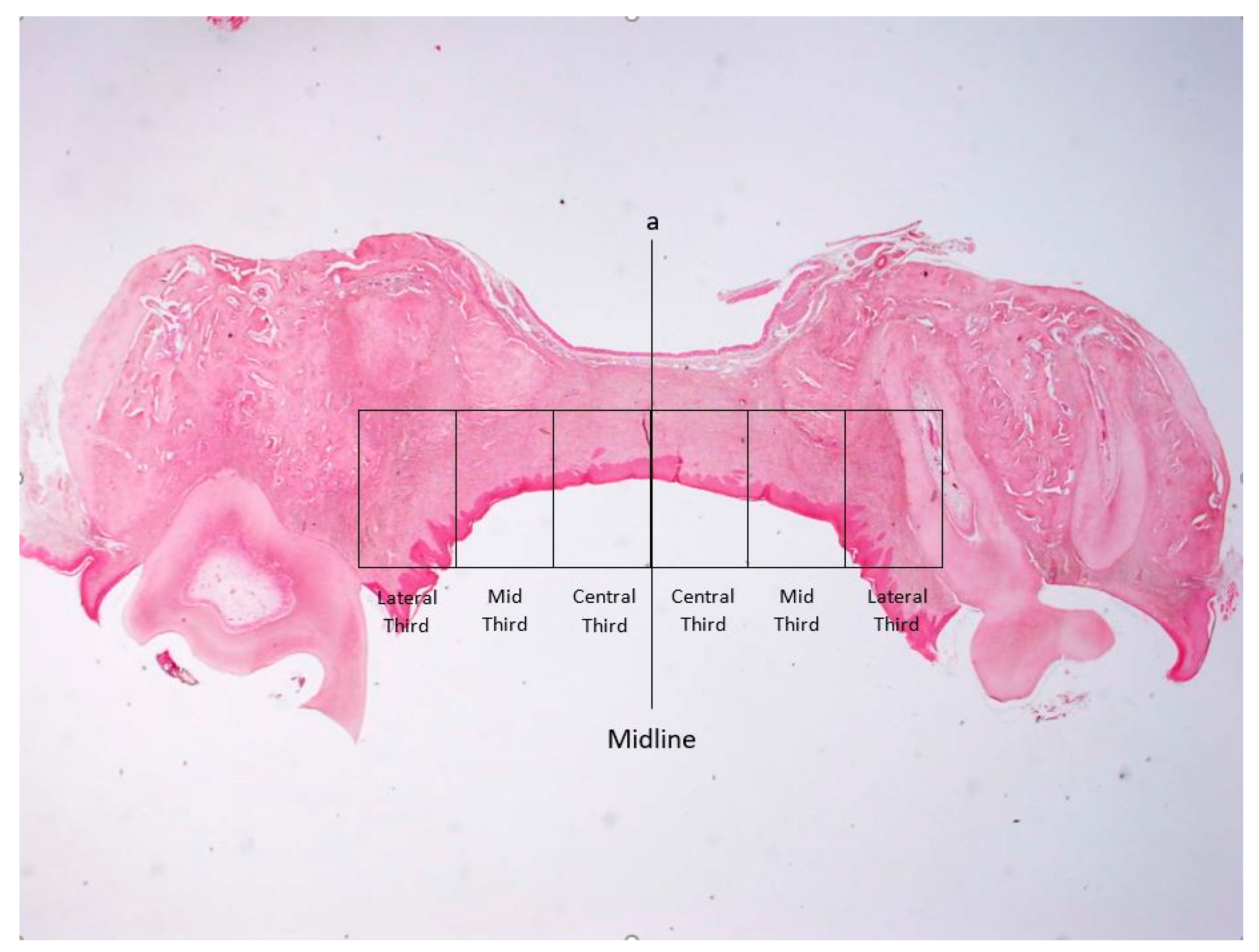Biology 11 01309 g002