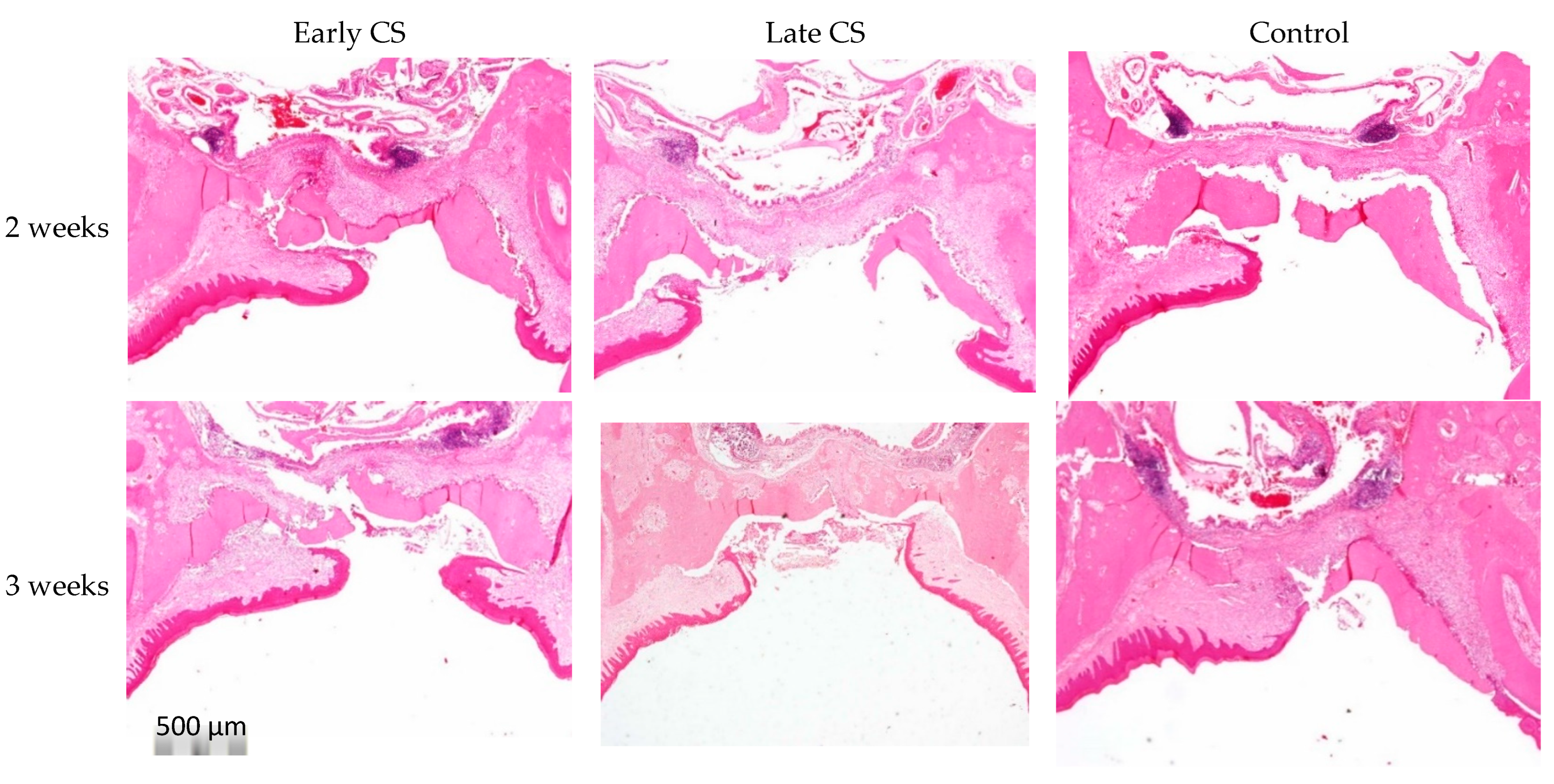 Biology 11 01309 g004