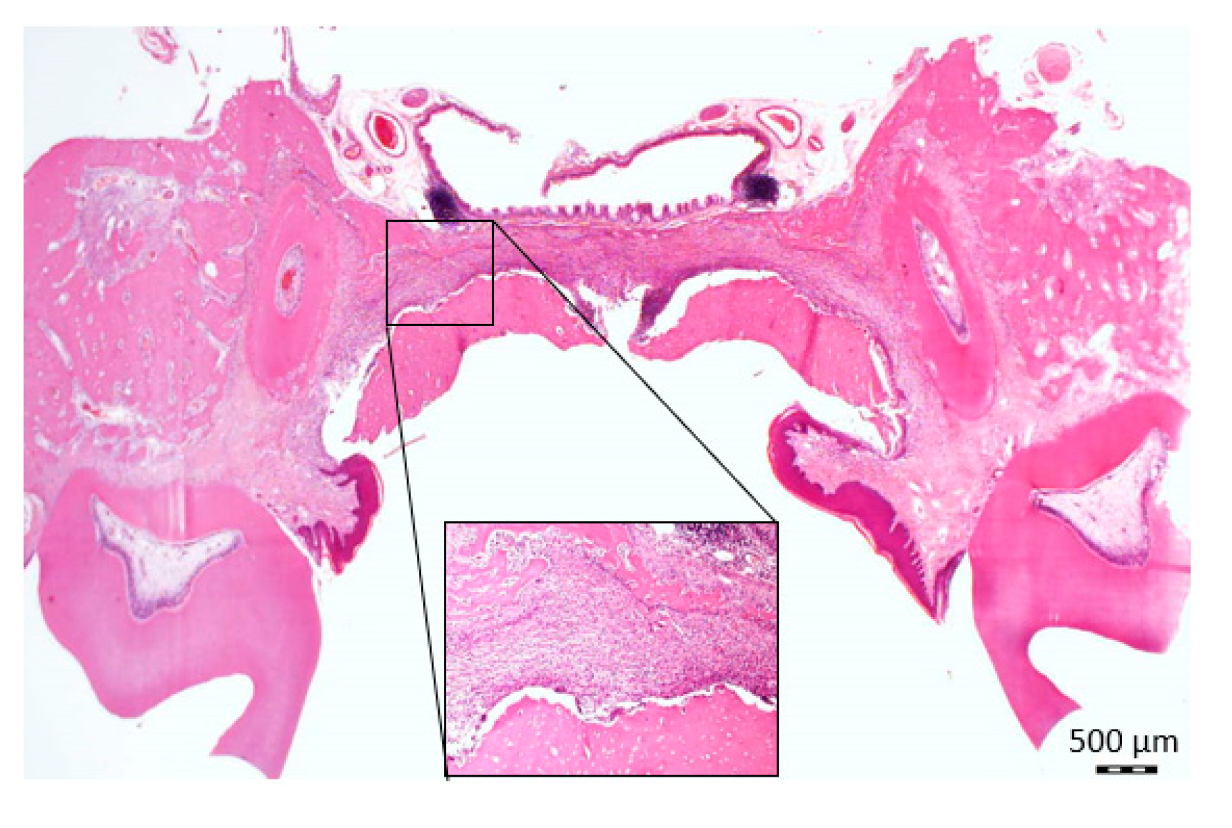 Biology 11 01309 g005