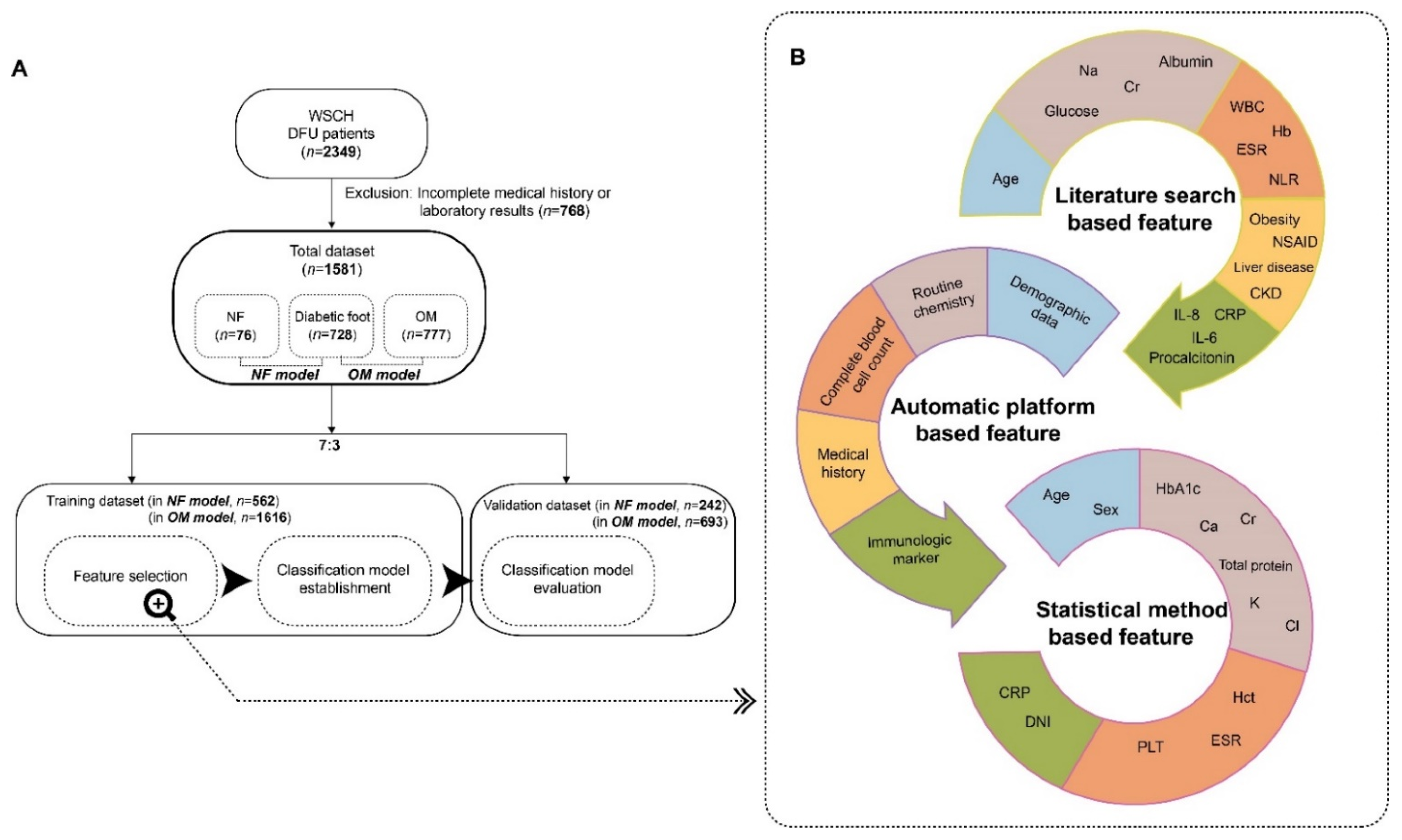 Biology 11 01310 g001