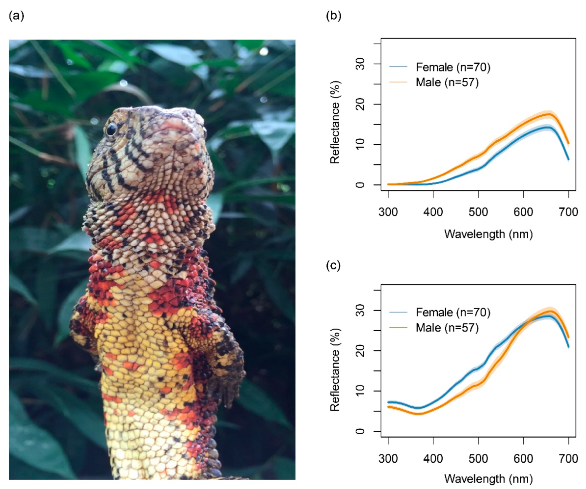 Biology 11 01314 g001