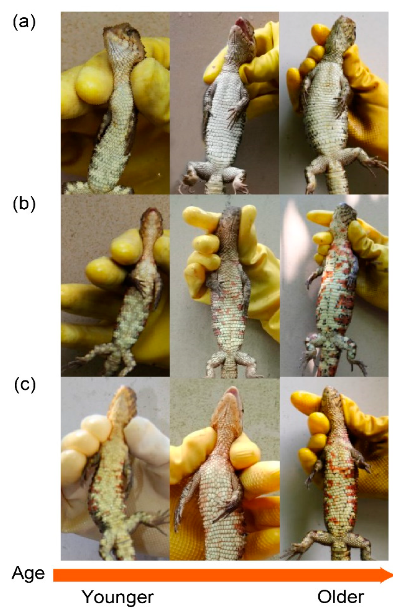 Biology 11 01314 g003