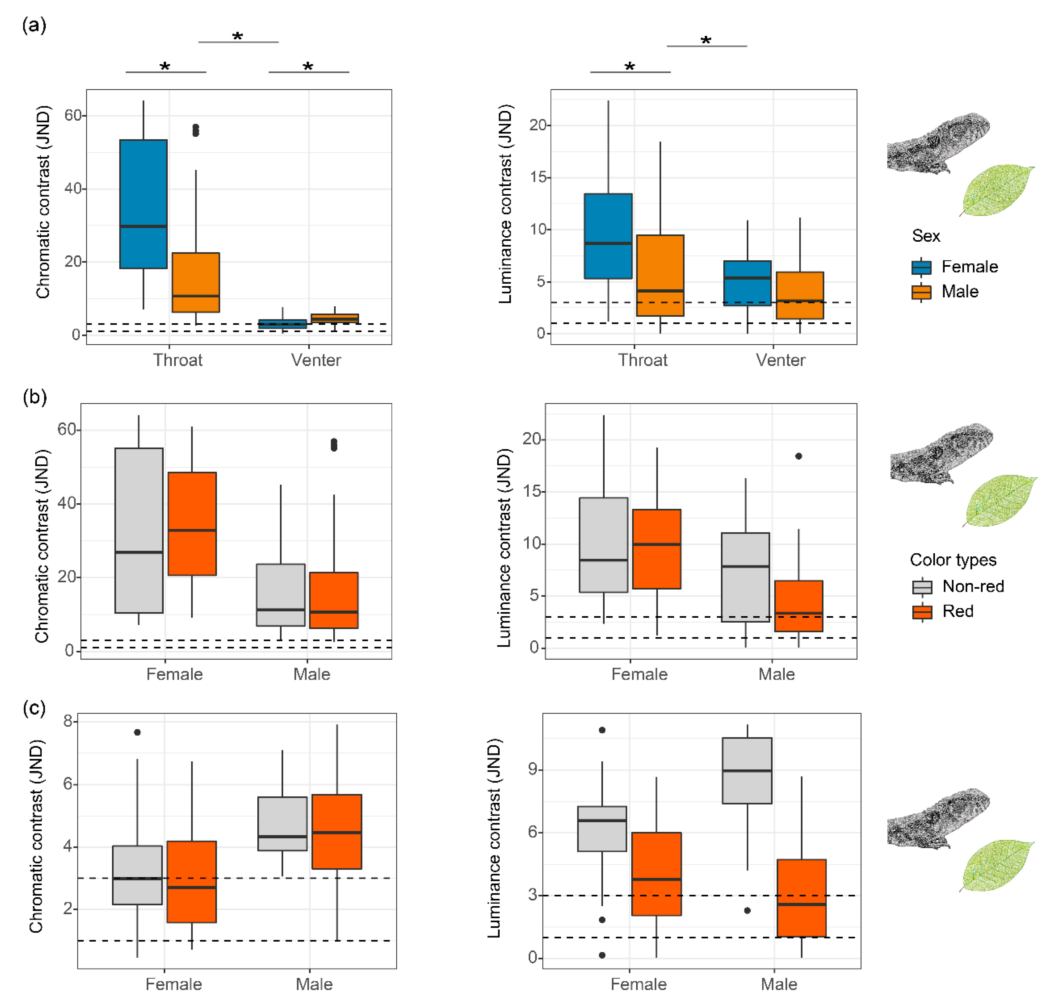Biology 11 01314 g004