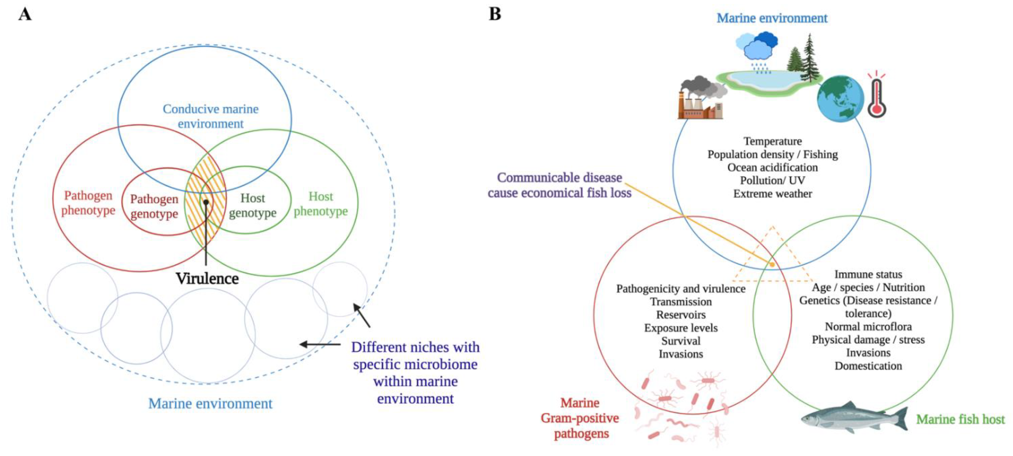 Biology 11 01316 g001 Biology 11 01316 g001