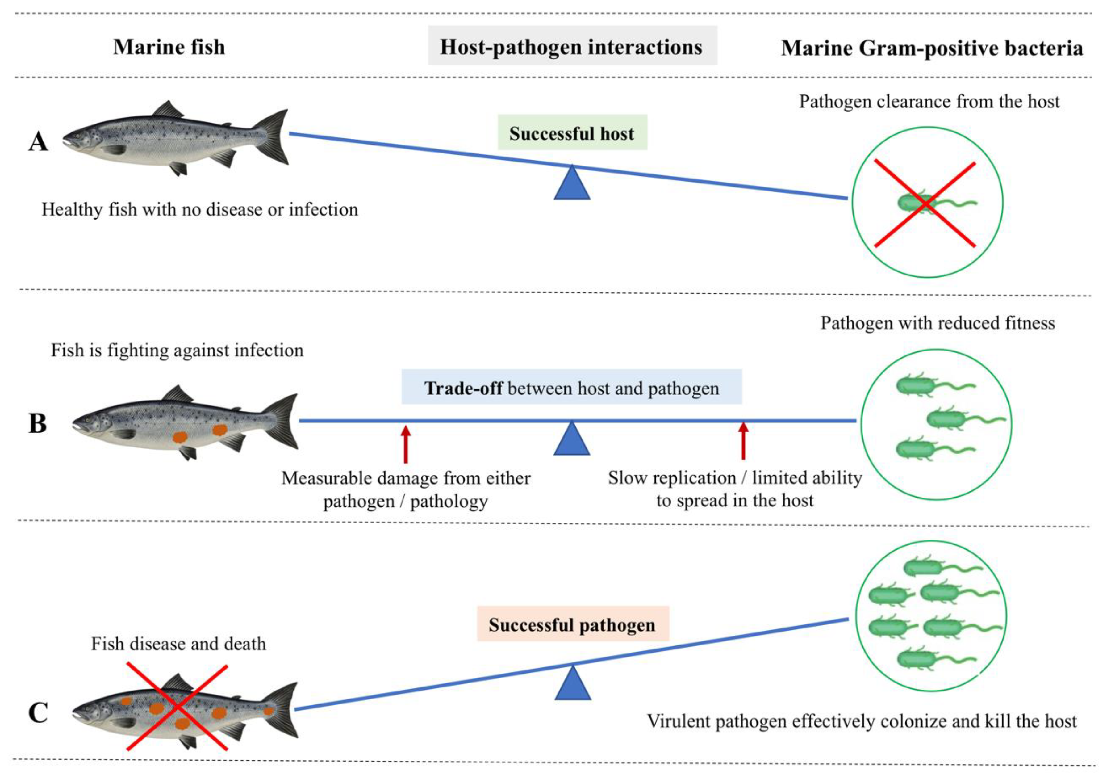 Biology 11 01316 g002 Biology 11 01316 g002