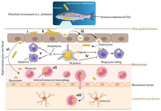 Biology 11 01316 g003