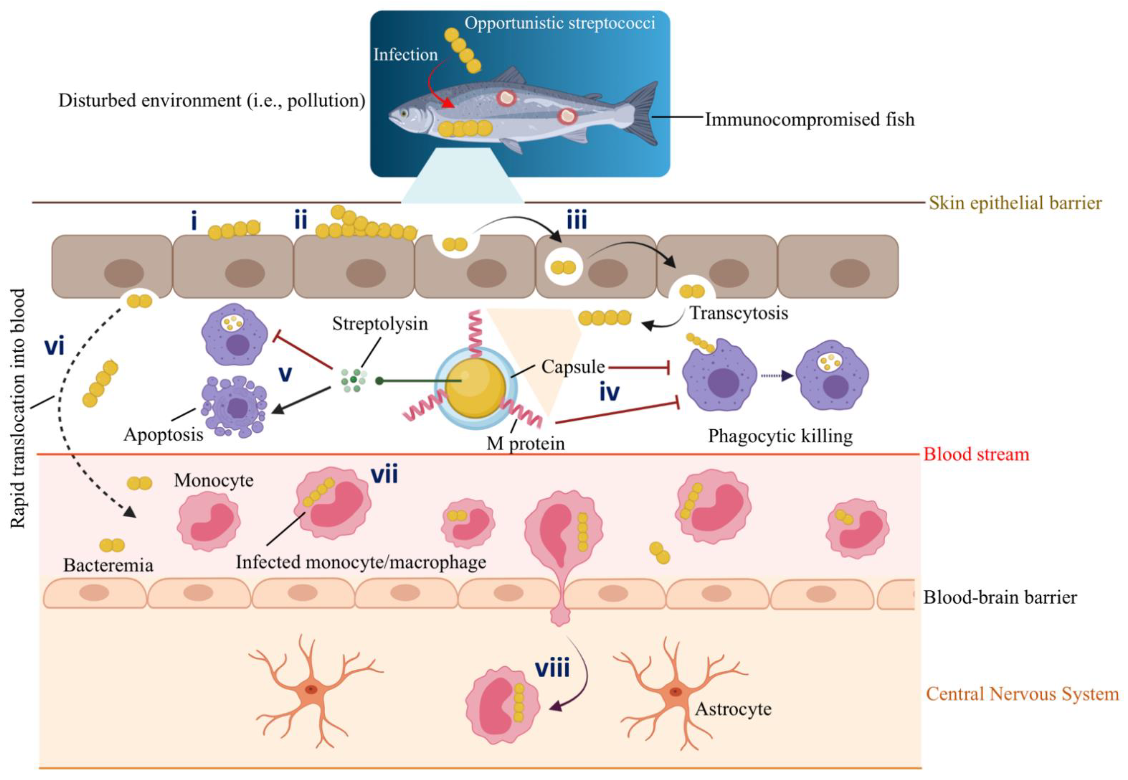 Biology 11 01316 g003 Biology 11 01316 g003