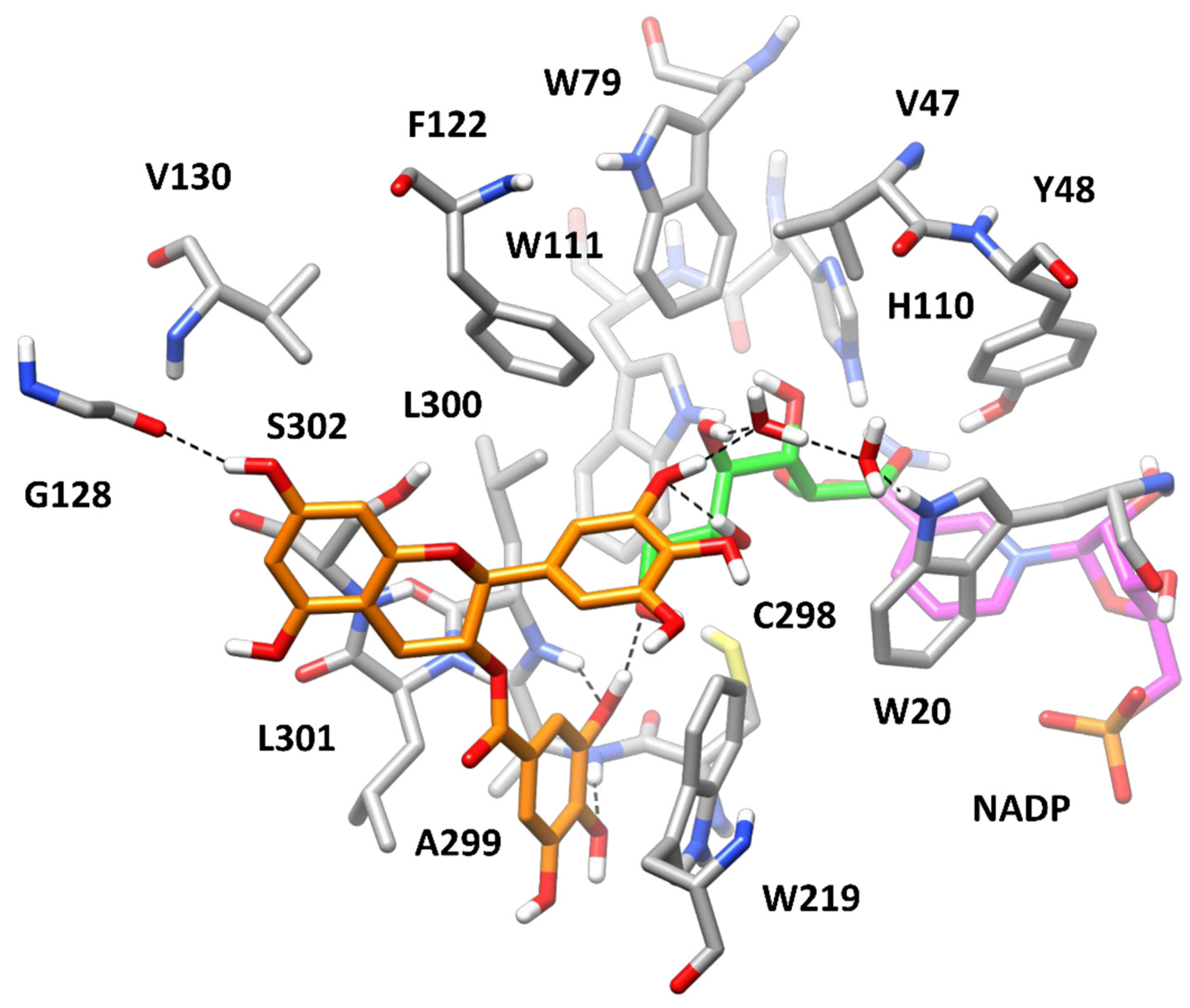 Biology 11 01324 g008