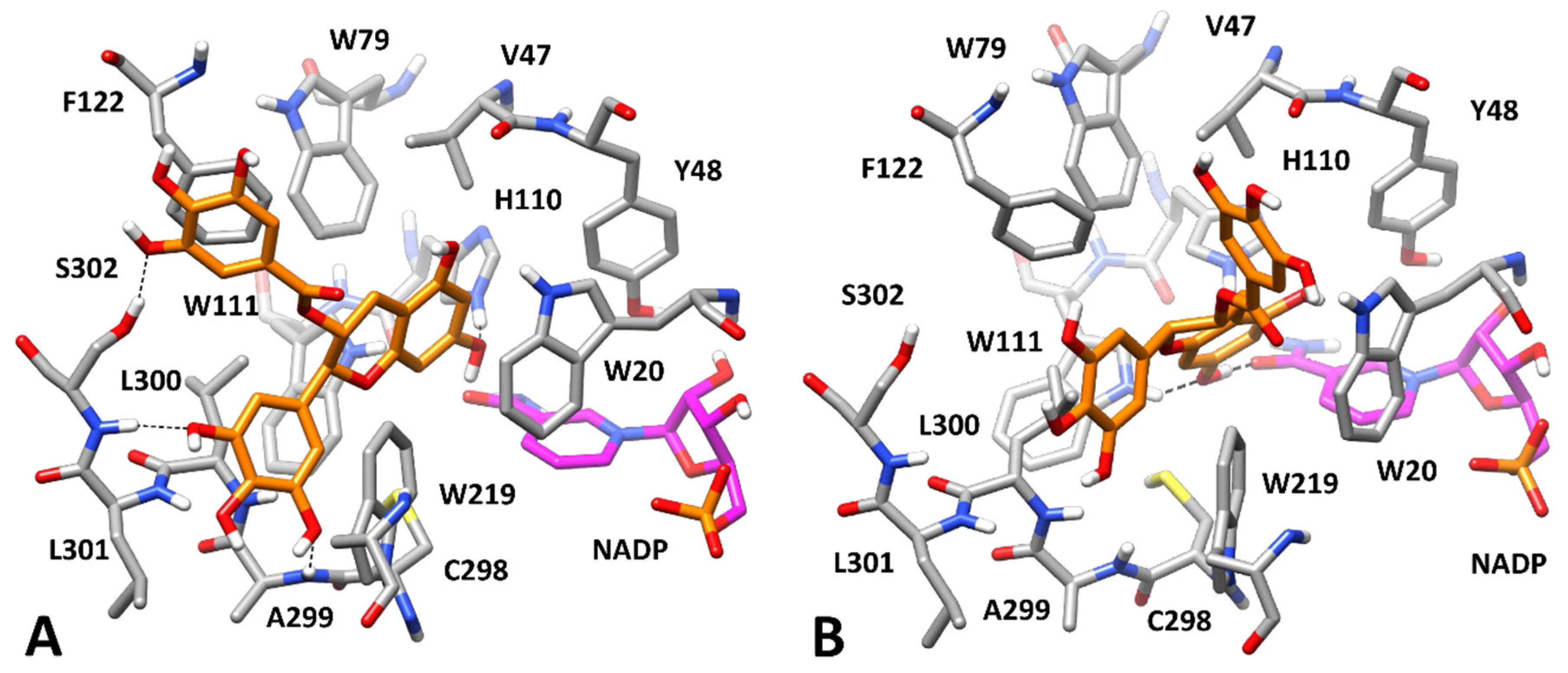 Biology 11 01324 g009