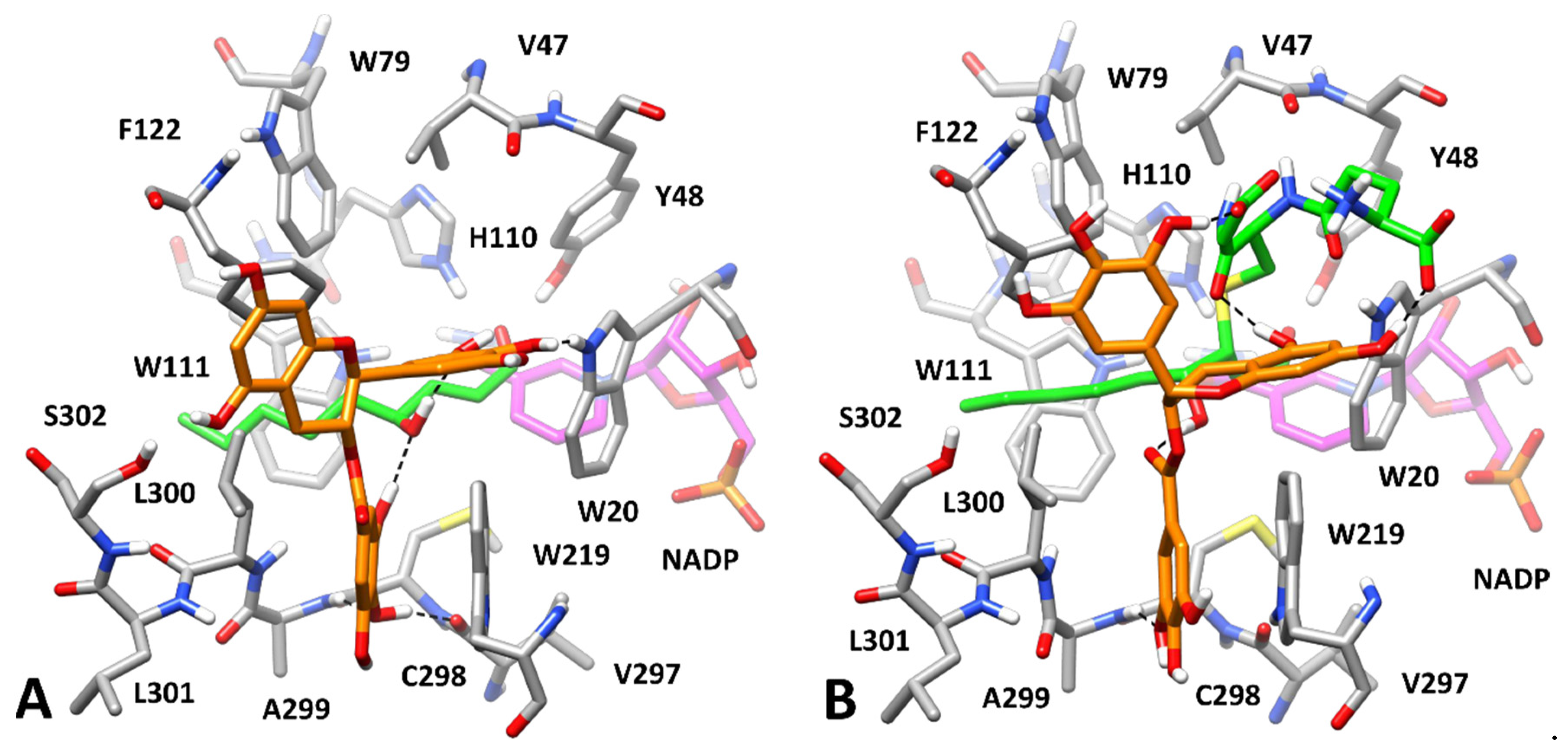 Biology 11 01324 g010