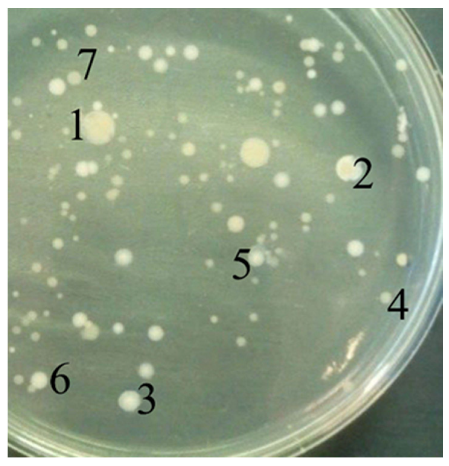 Biology 11 01332 g001 Biology 11 01332 g001