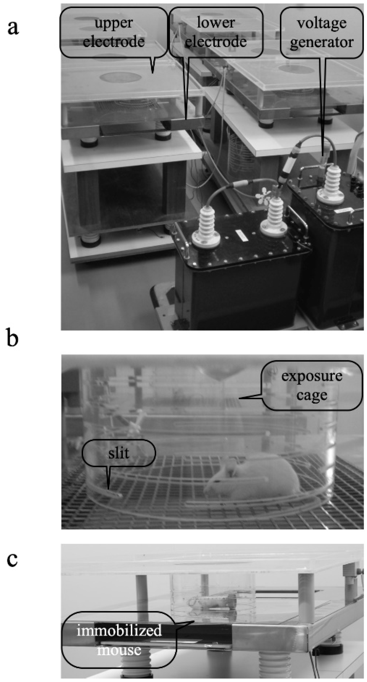 Biology 11 01336 g001 Biology 11 01336 g001