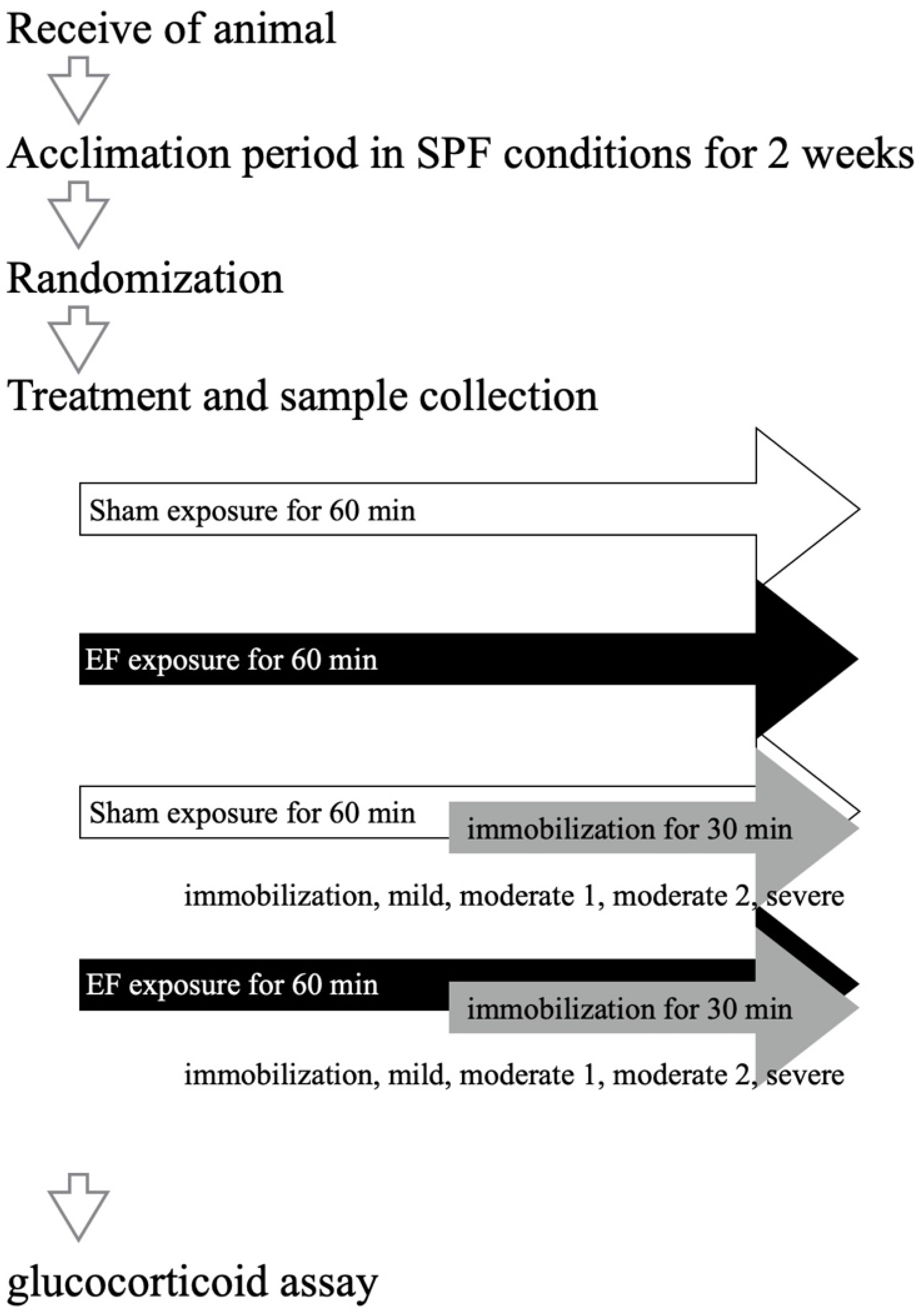 Biology 11 01336 g003 Biology 11 01336 g003