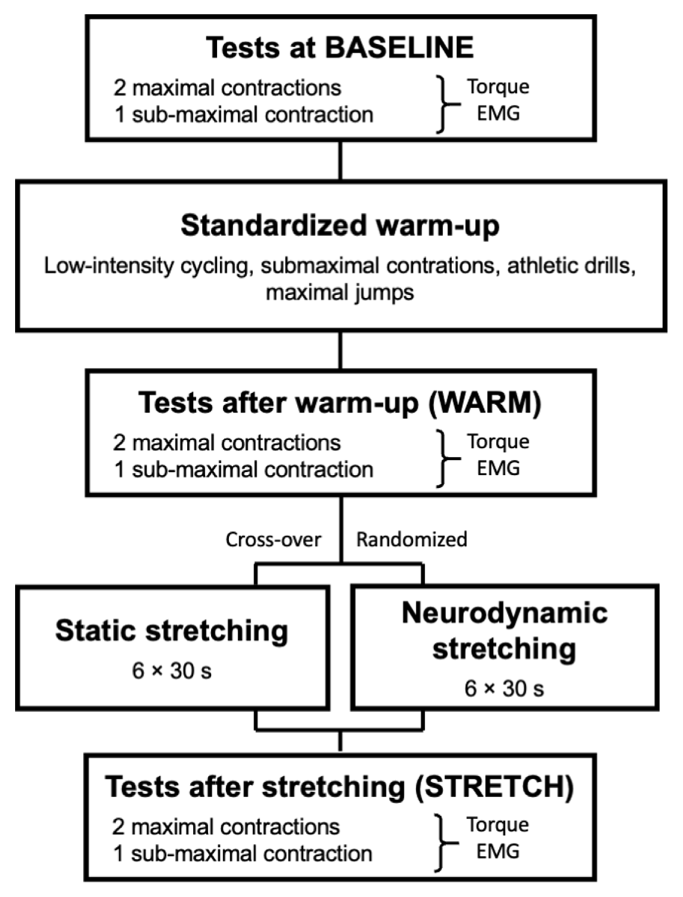 Biology 11 01337 g001