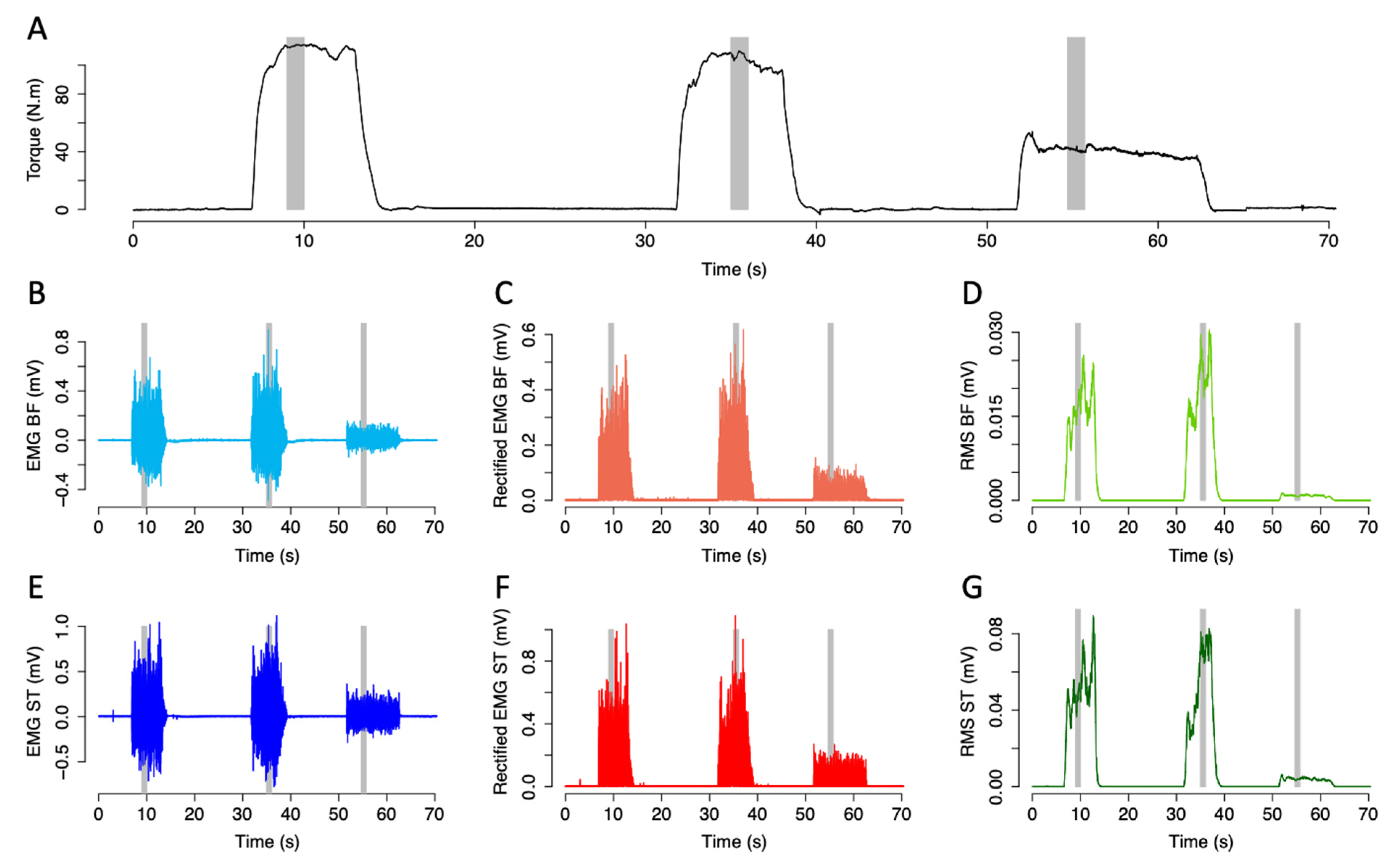 Biology 11 01337 g002