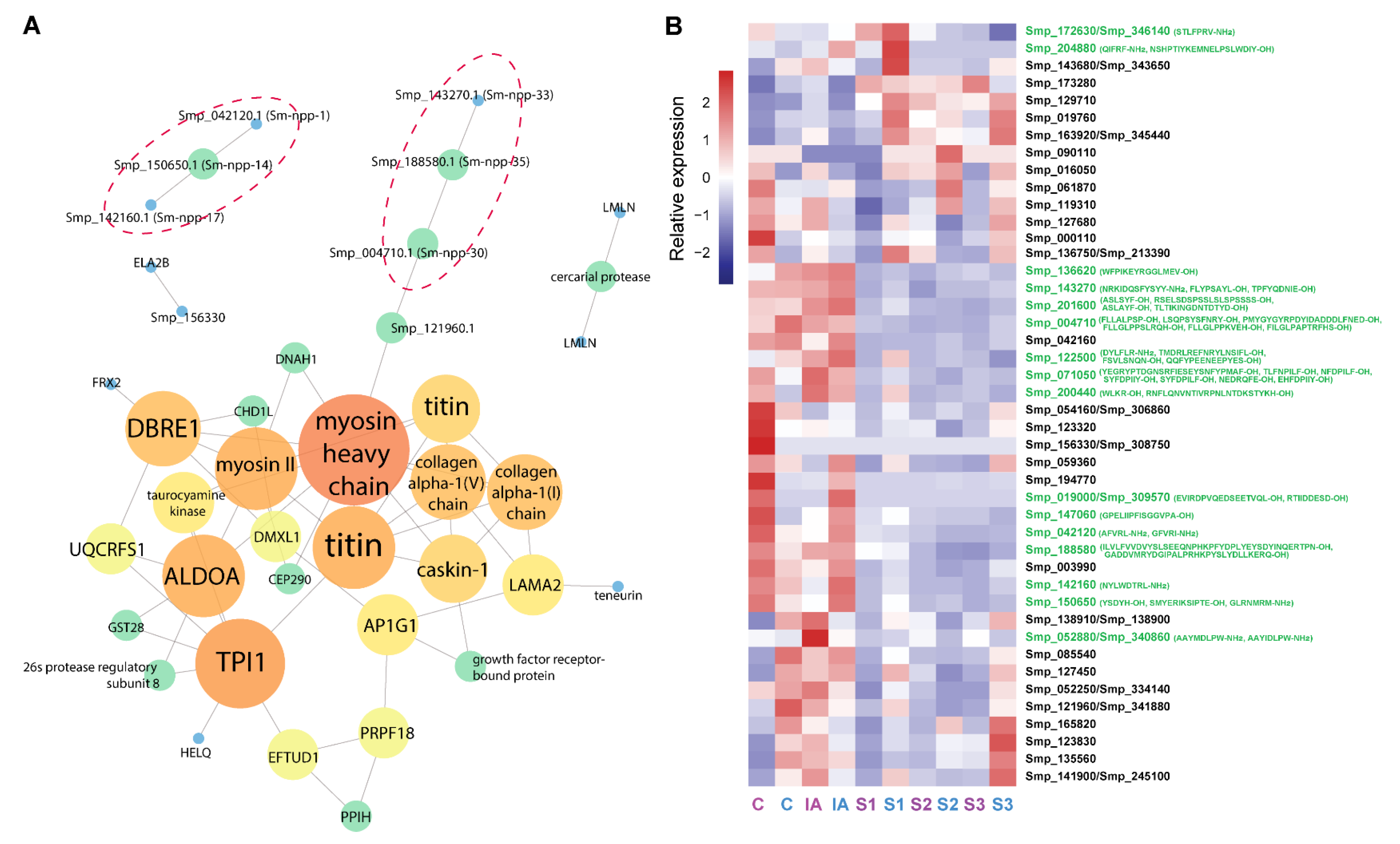 Biology 11 01344 g003