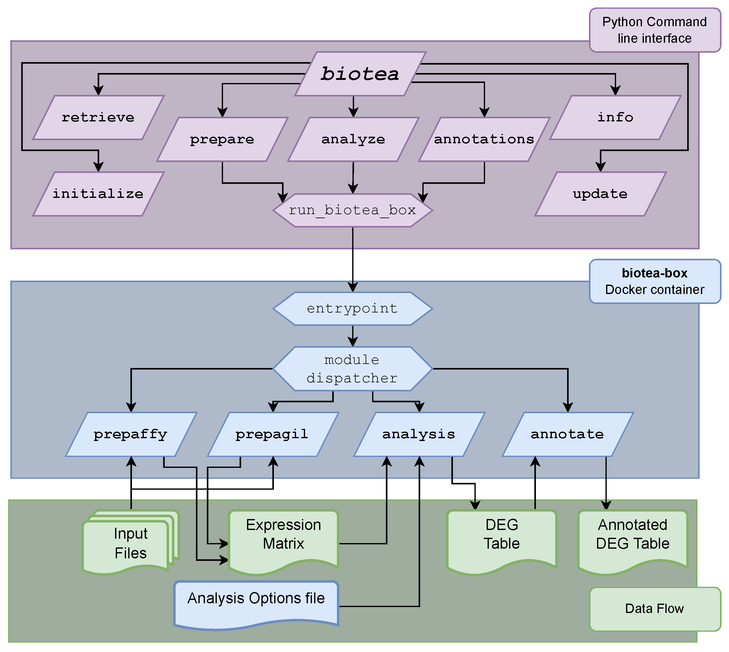 Biology 11 01346 g001