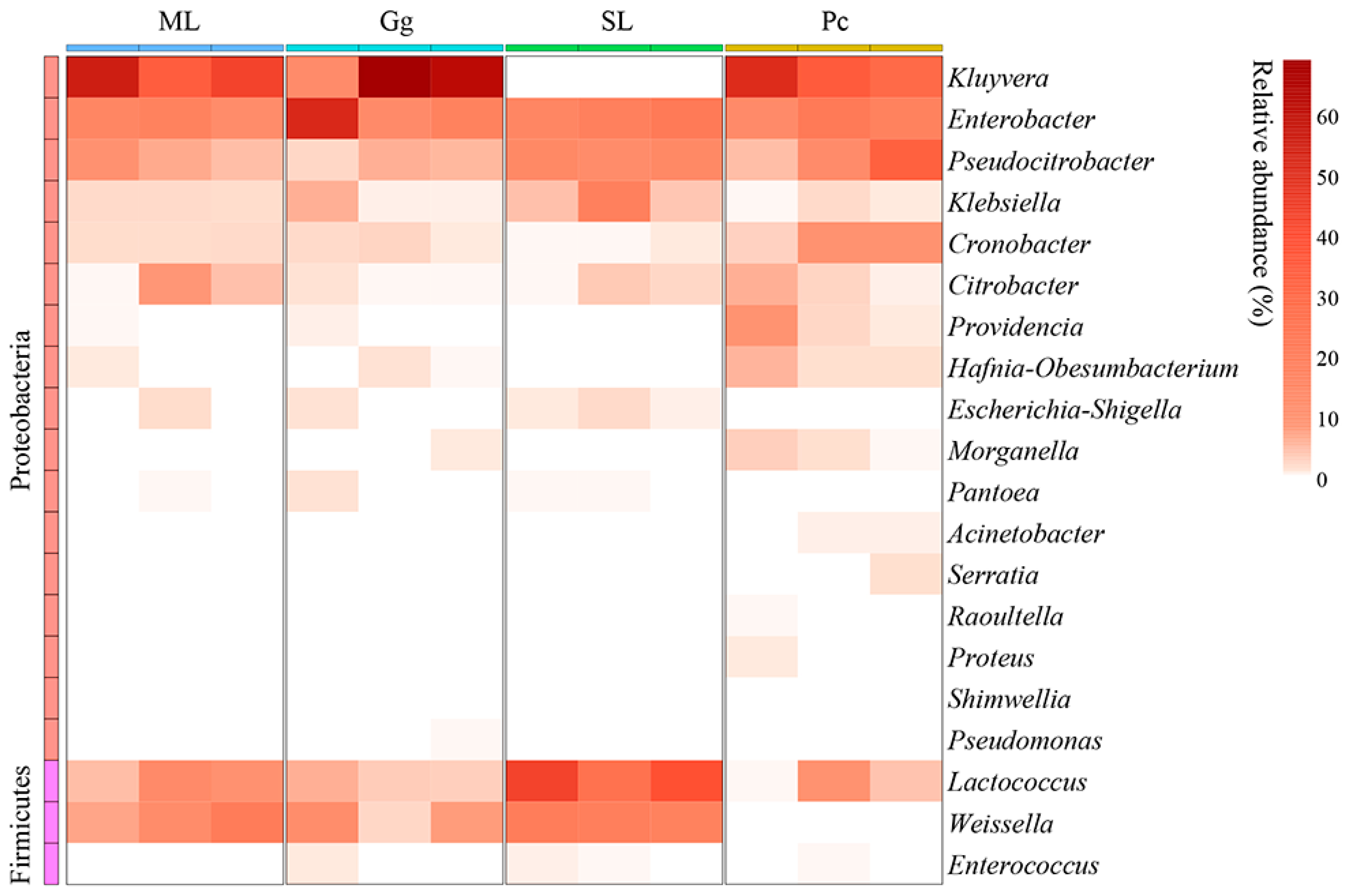 Biology 11 01347 g005