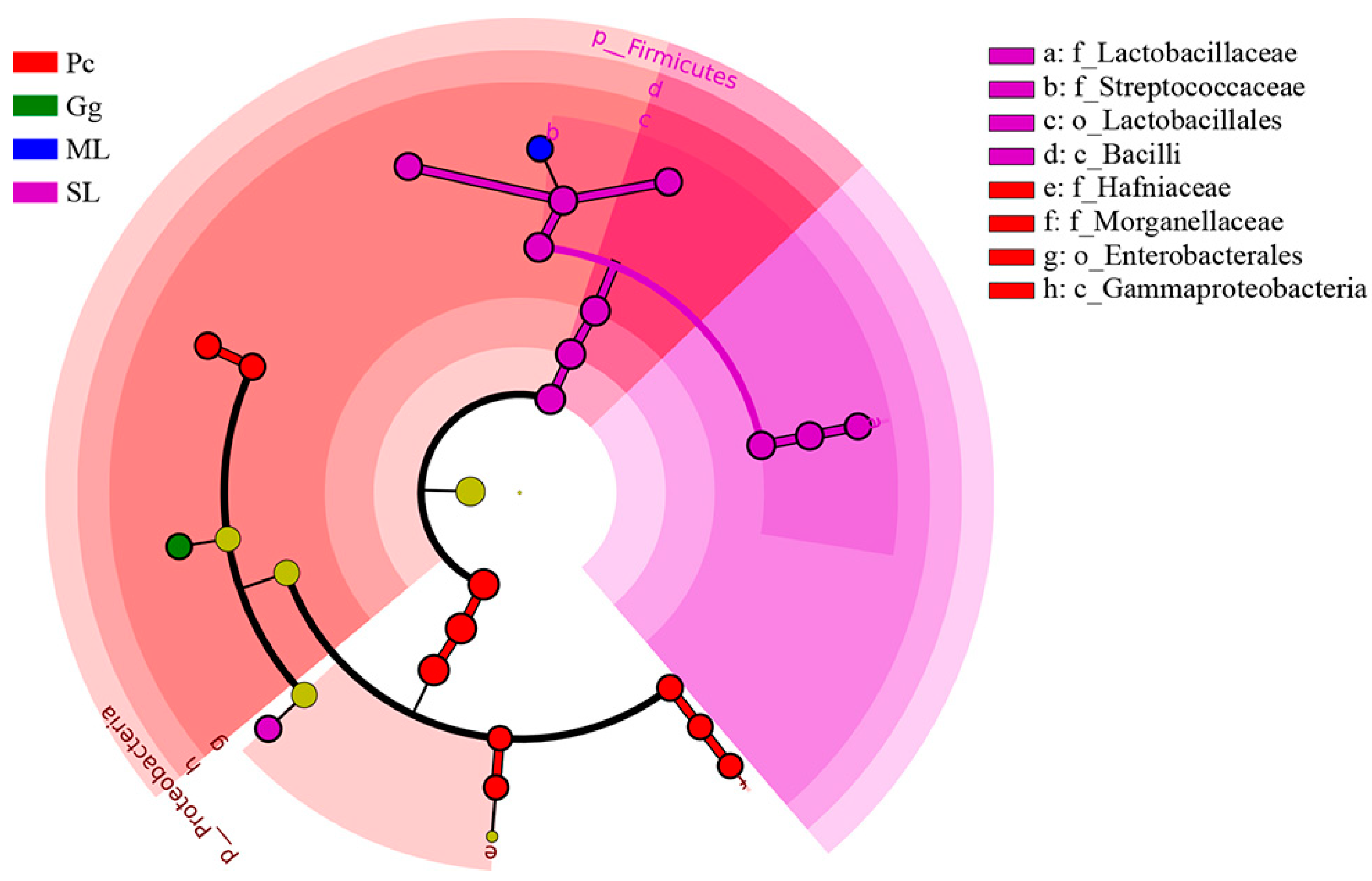 Biology 11 01347 g006