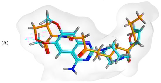 Biology 11 01349 g009a 550