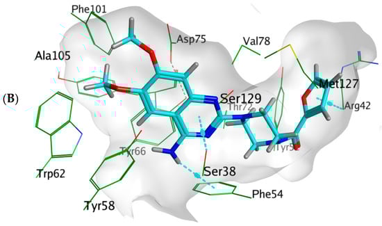 Biology 11 01349 g009b 550