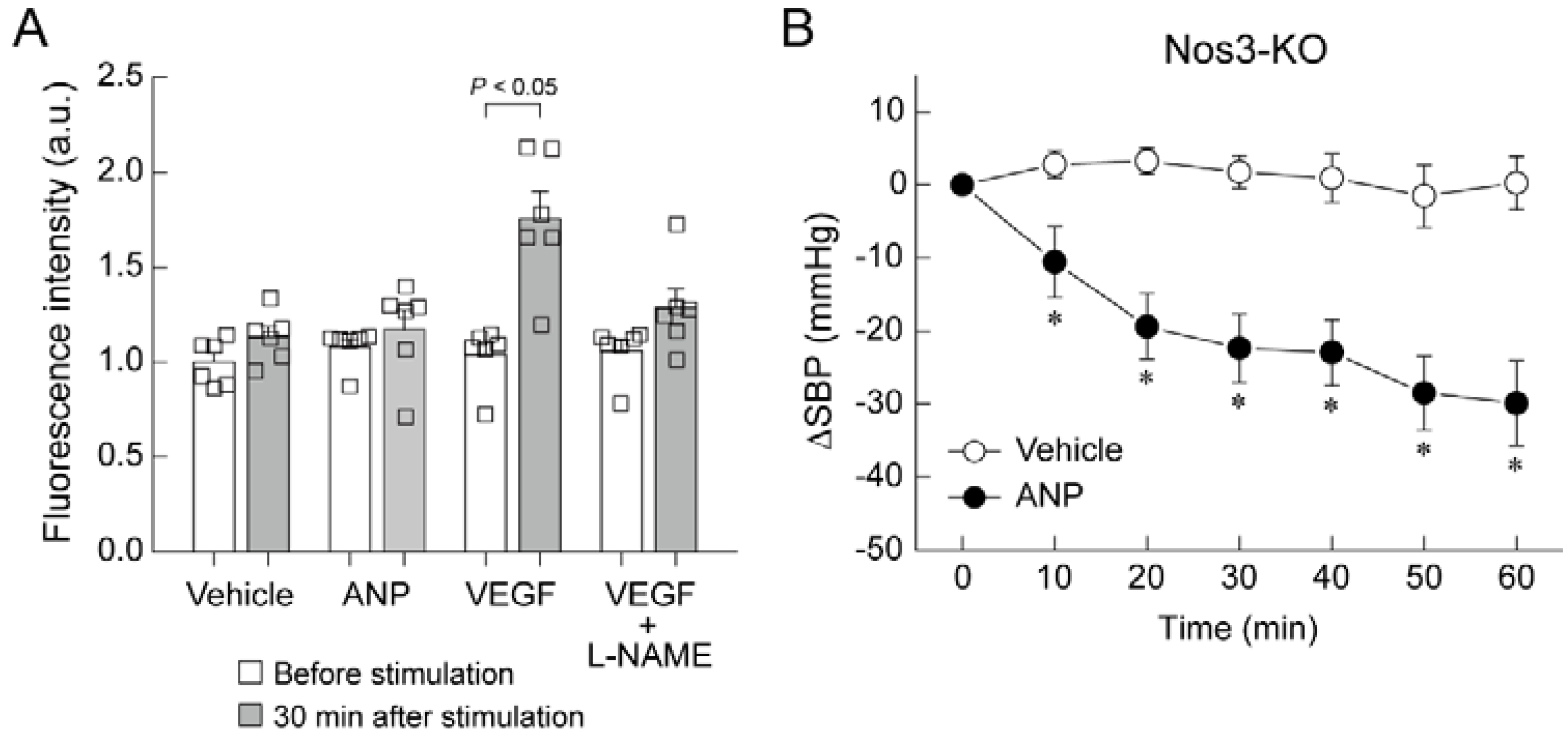 Biology 11 01351 g004