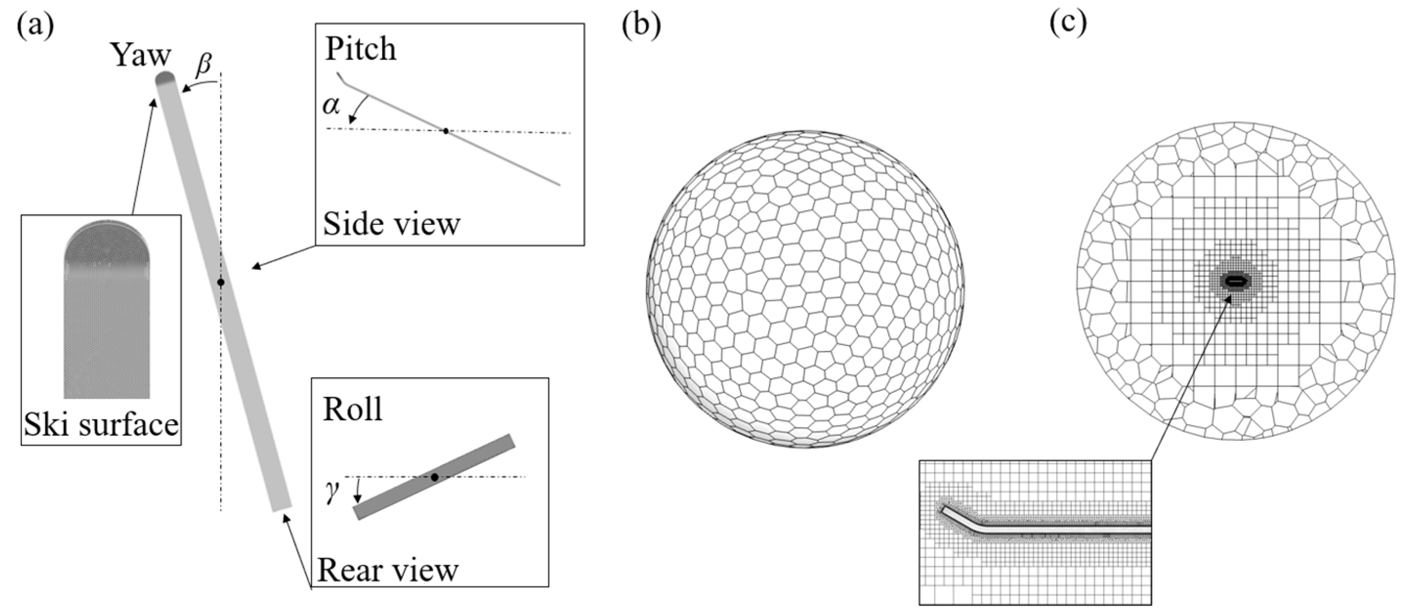 Biology 11 01362 g001