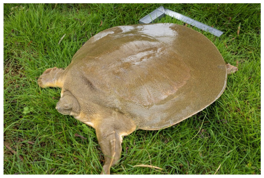 Biology 11 01368 g002