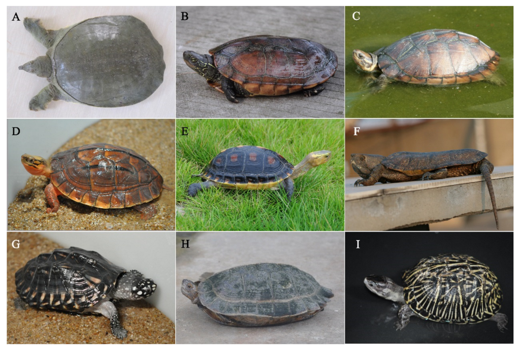 Biology 11 01368 g003