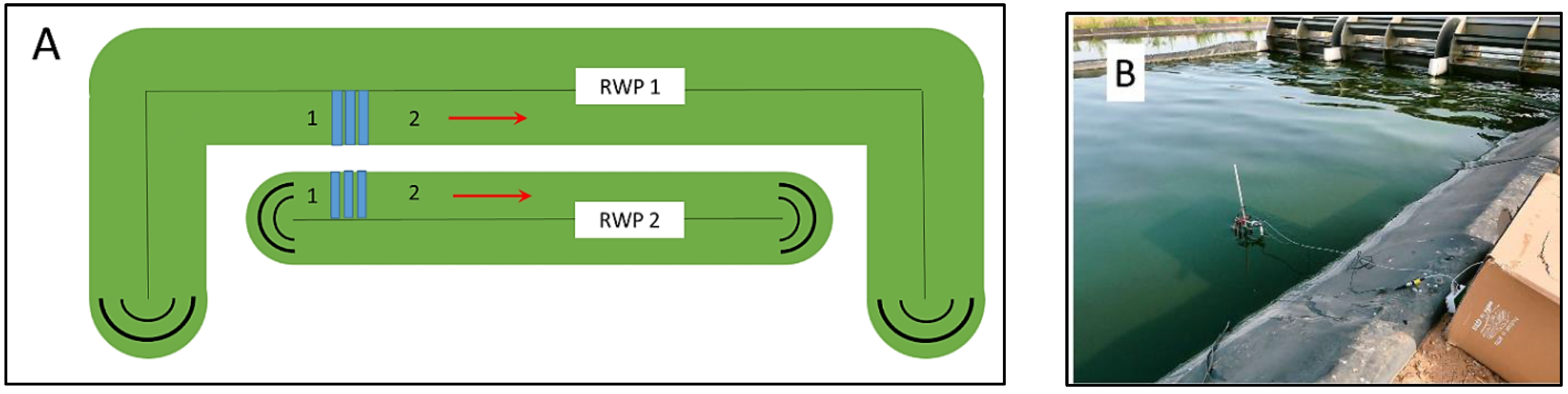 Biology 11 01380 g001 Biology 11 01380 g001