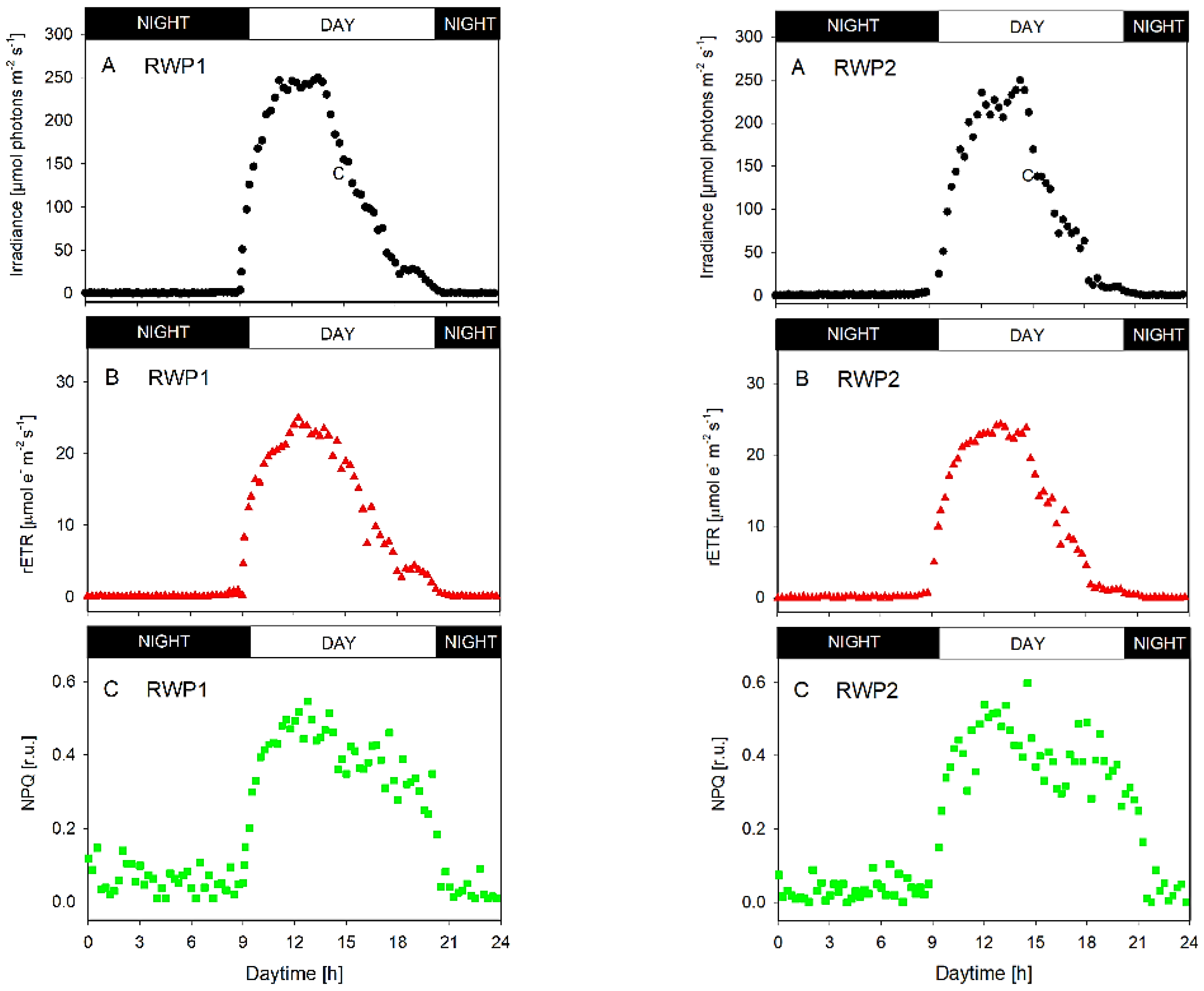 Biology 11 01380 g004 Biology 11 01380 g004