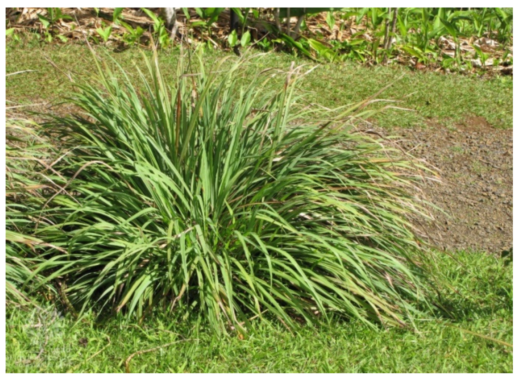 Biology 11 01382 g001