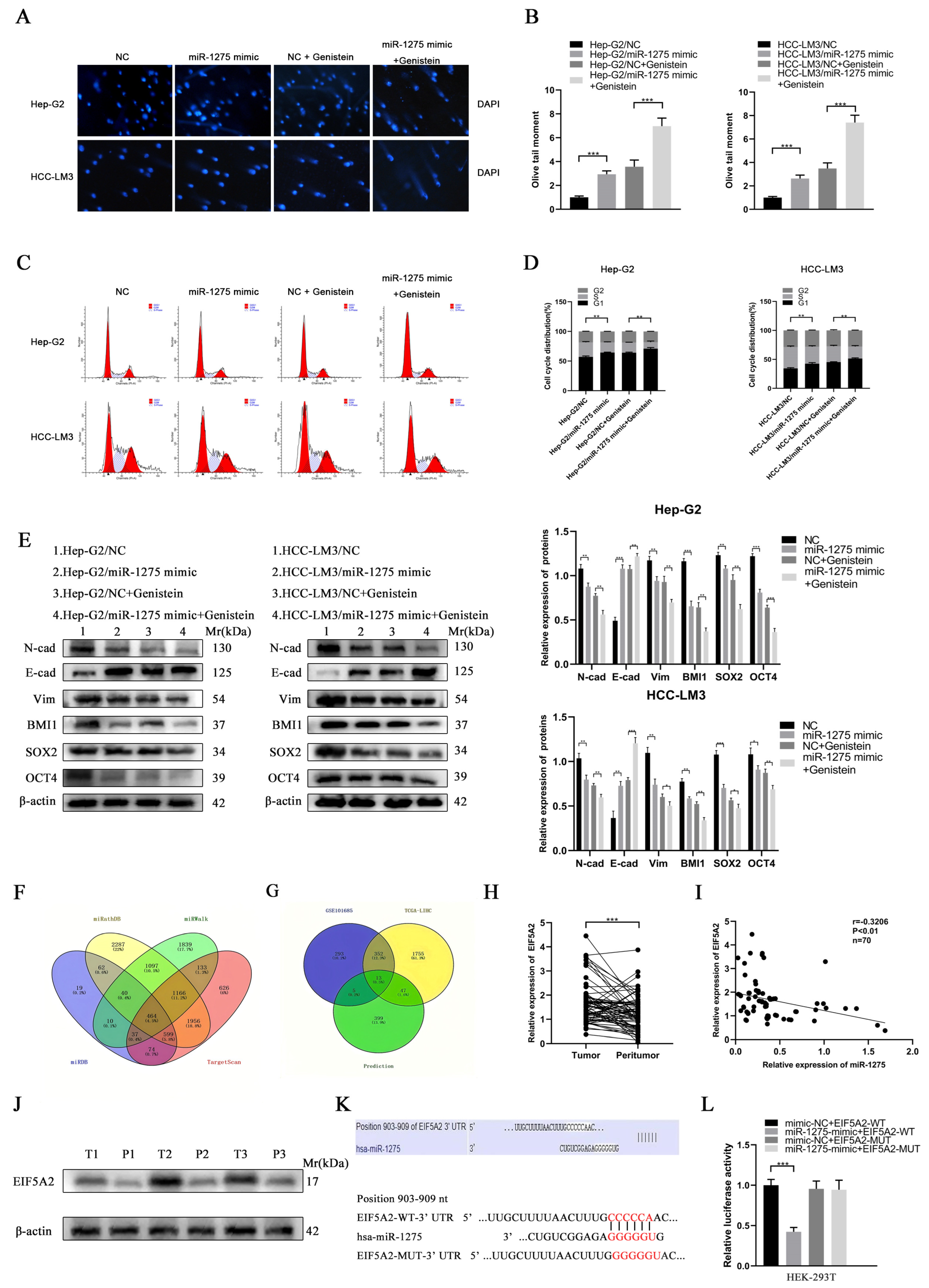 Biology 11 01383 g003