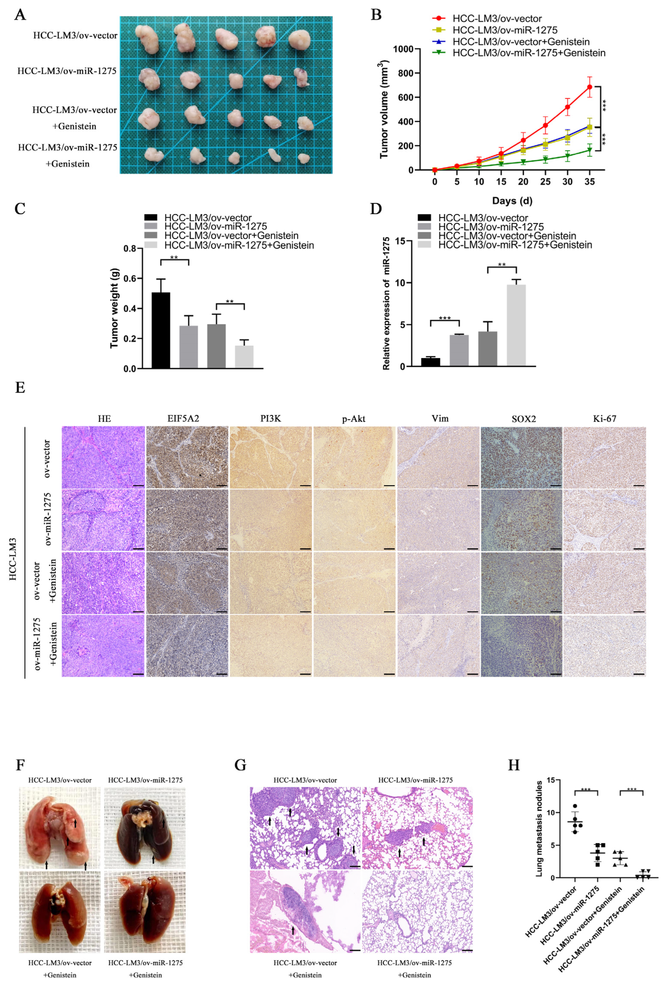 Biology 11 01383 g004