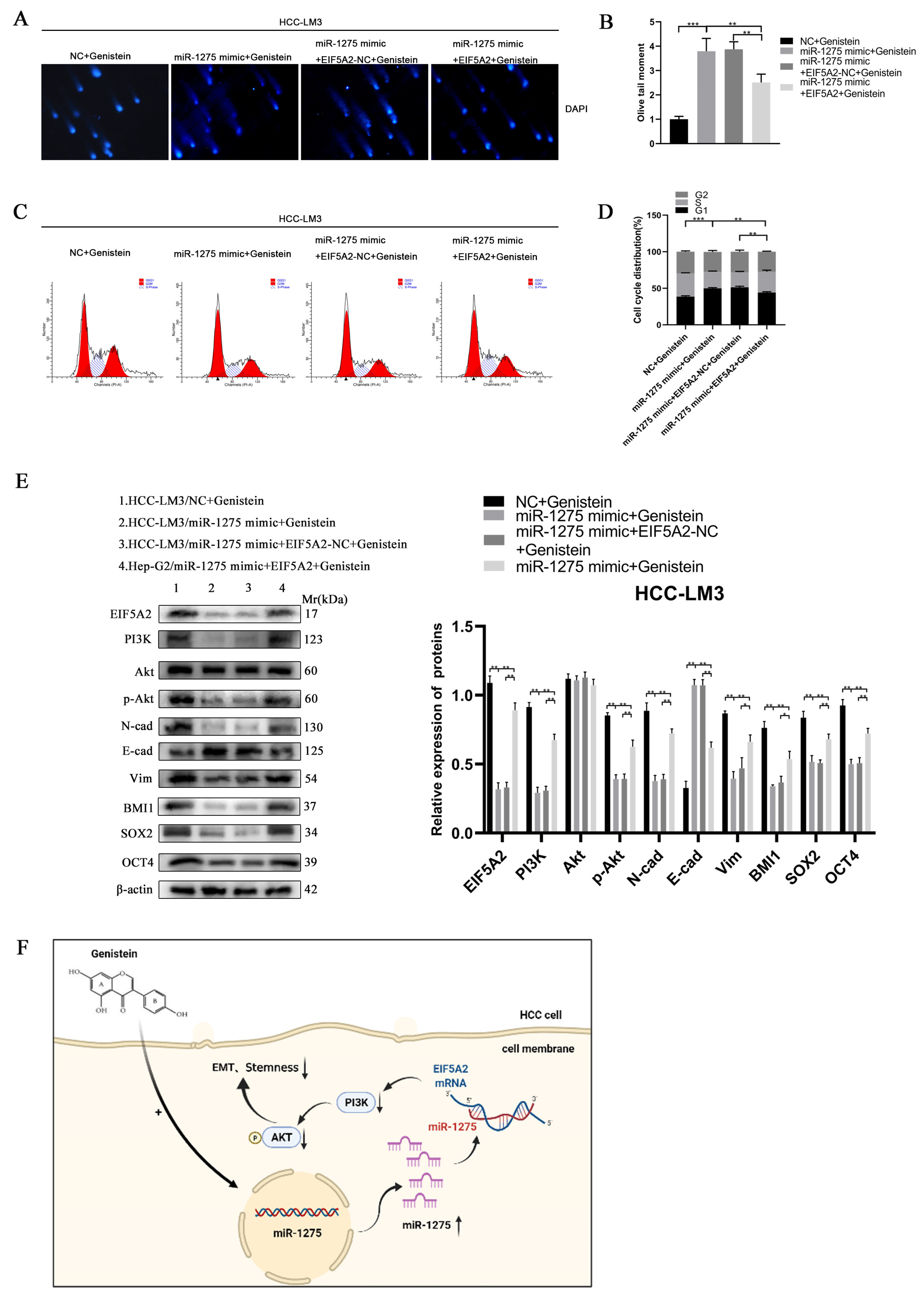 Biology 11 01383 g006