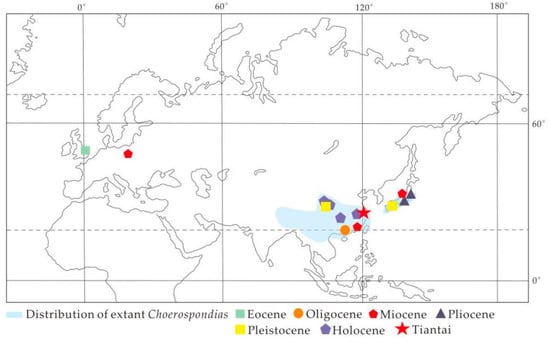 Biology 11 01399 g001