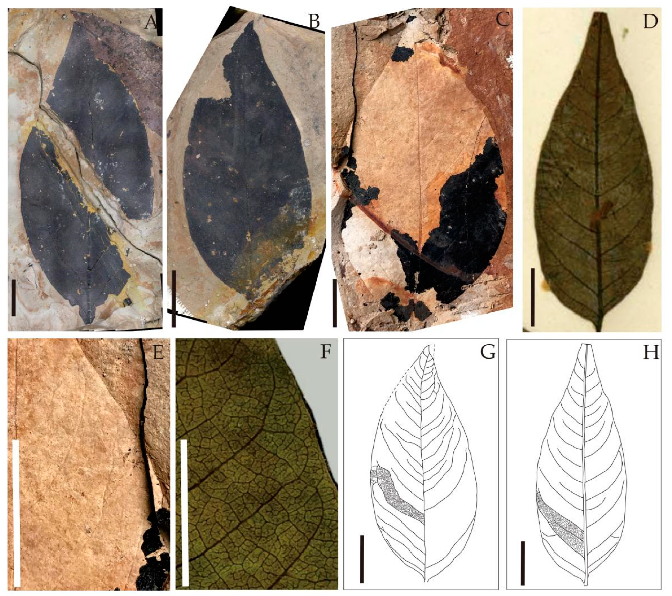 Biology 11 01399 g006 Biology 11 01399 g006