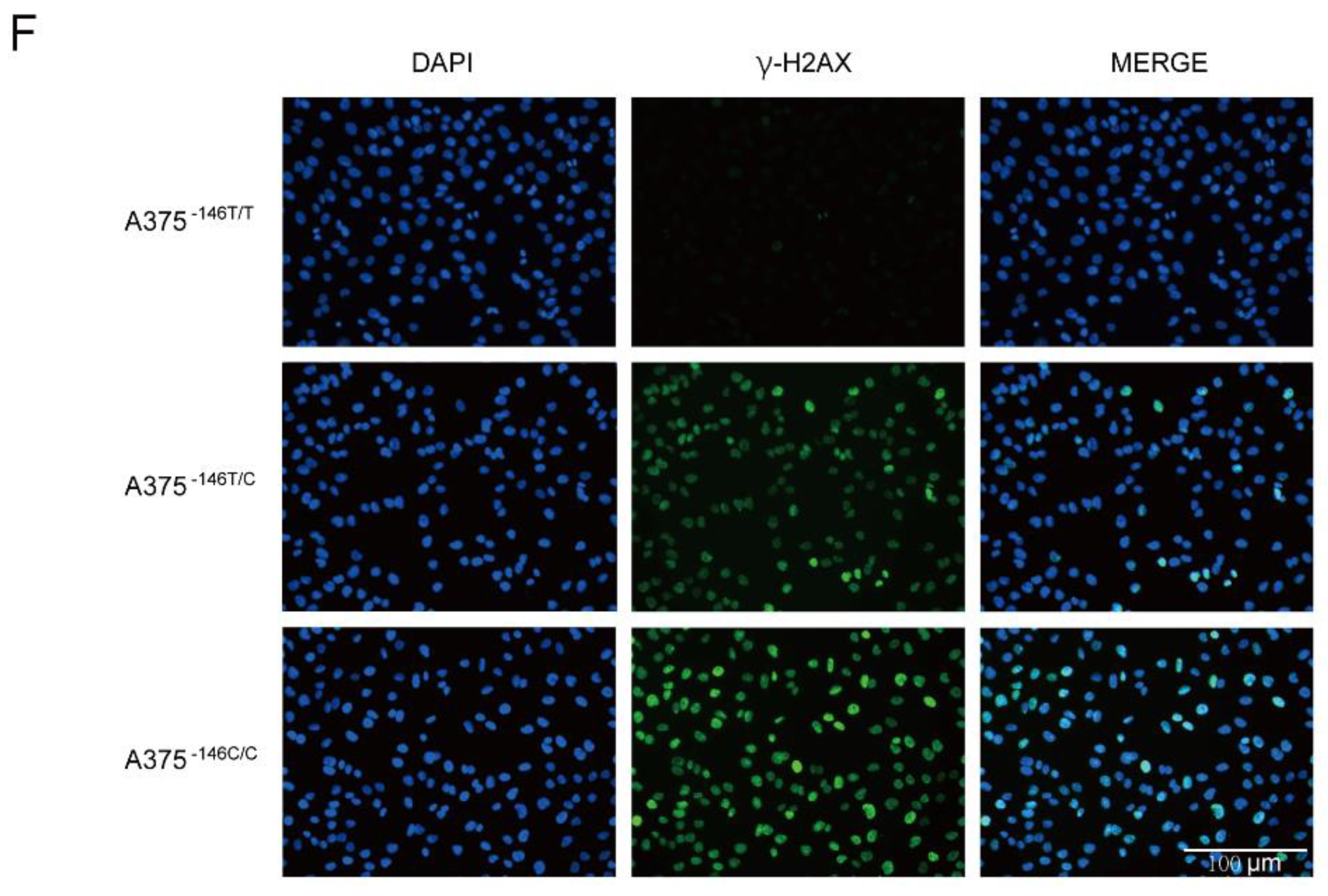 Biology 11 01400 g001