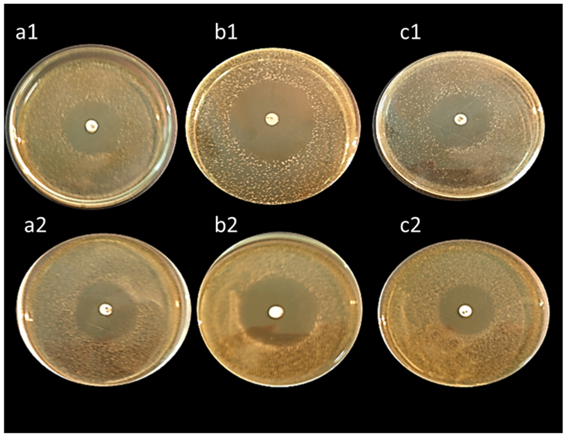 Biology 11 01405 g006
