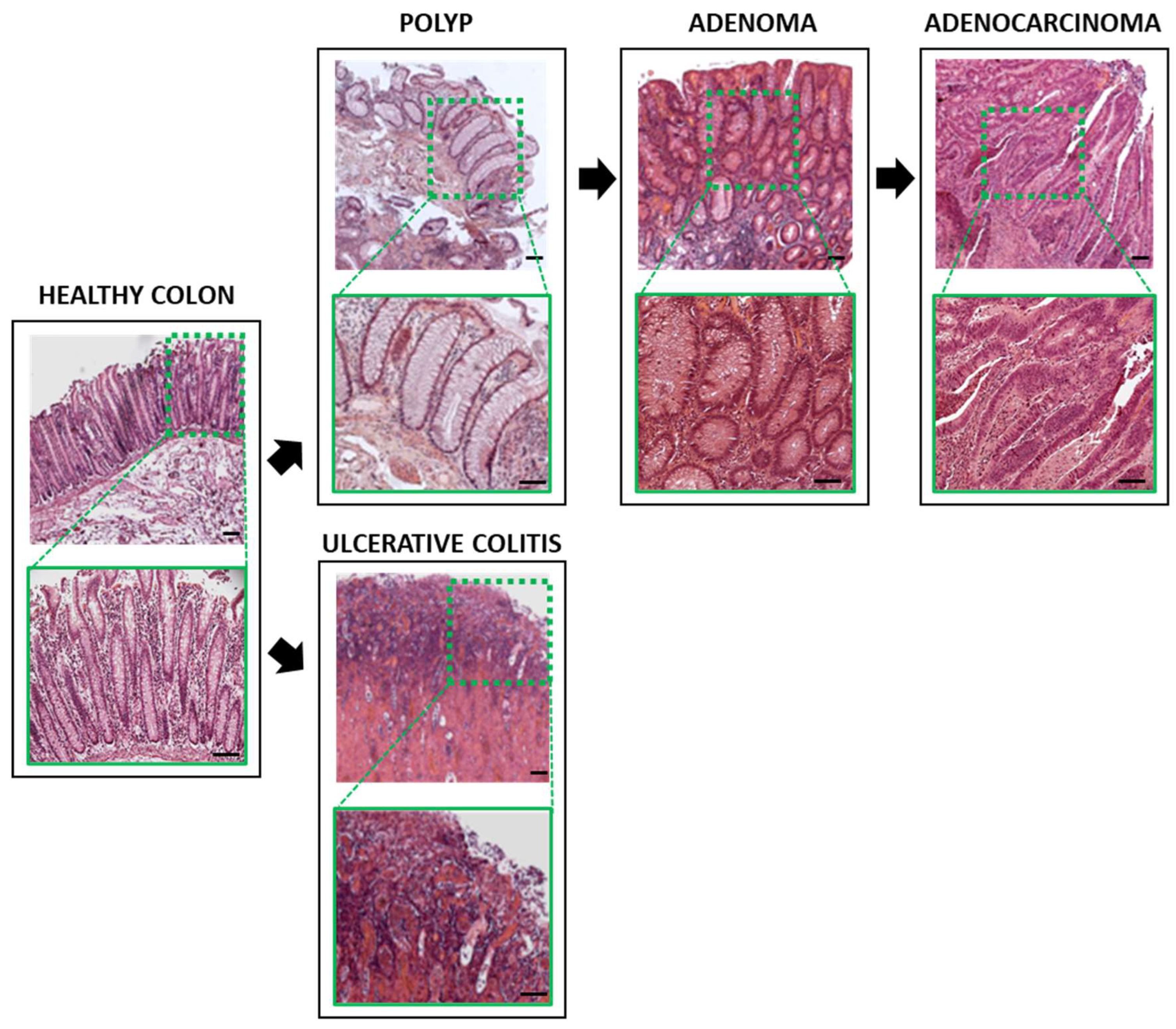 Biology 11 01406 g003 Biology 11 01406 g003