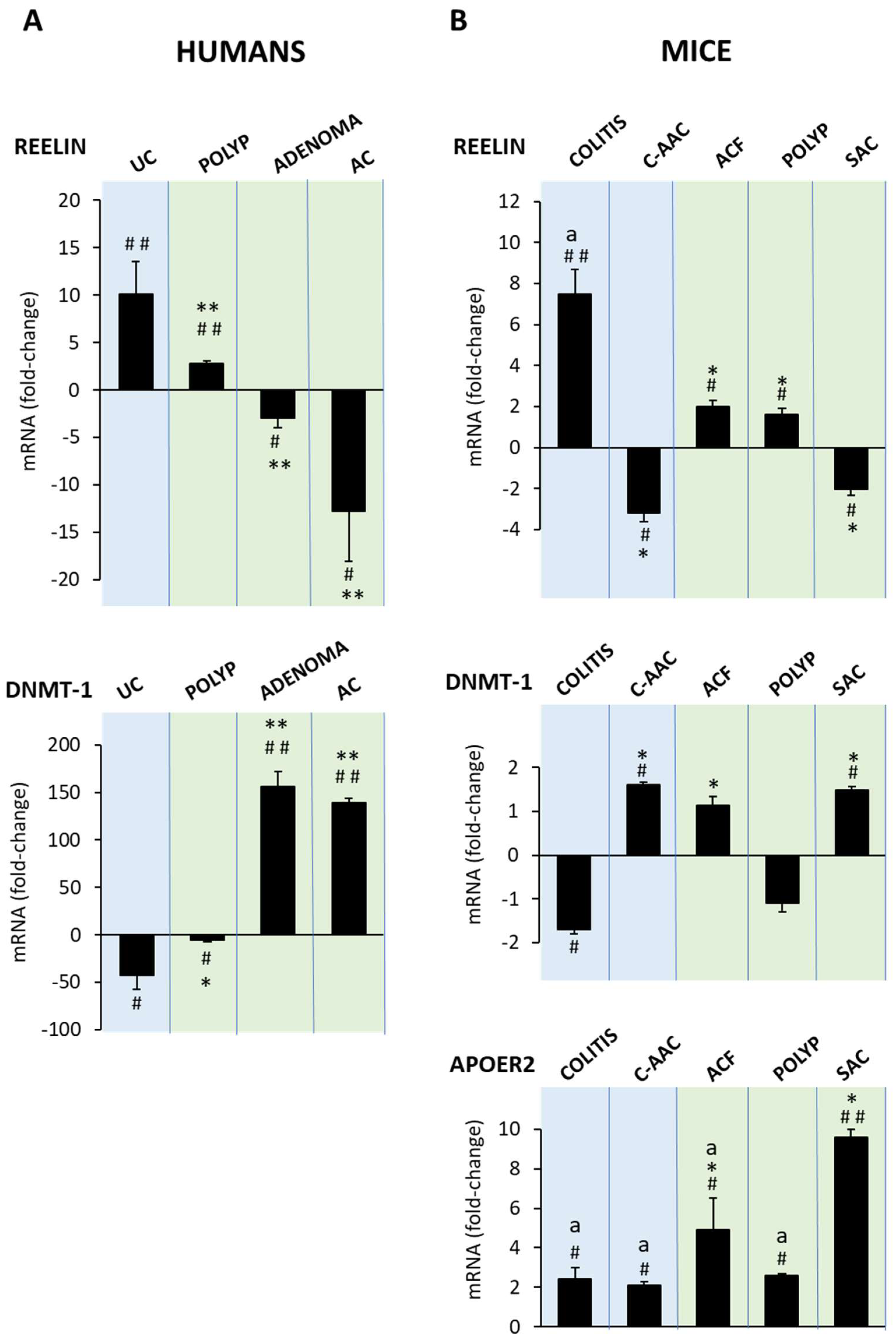 Biology 11 01406 g004 Biology 11 01406 g004