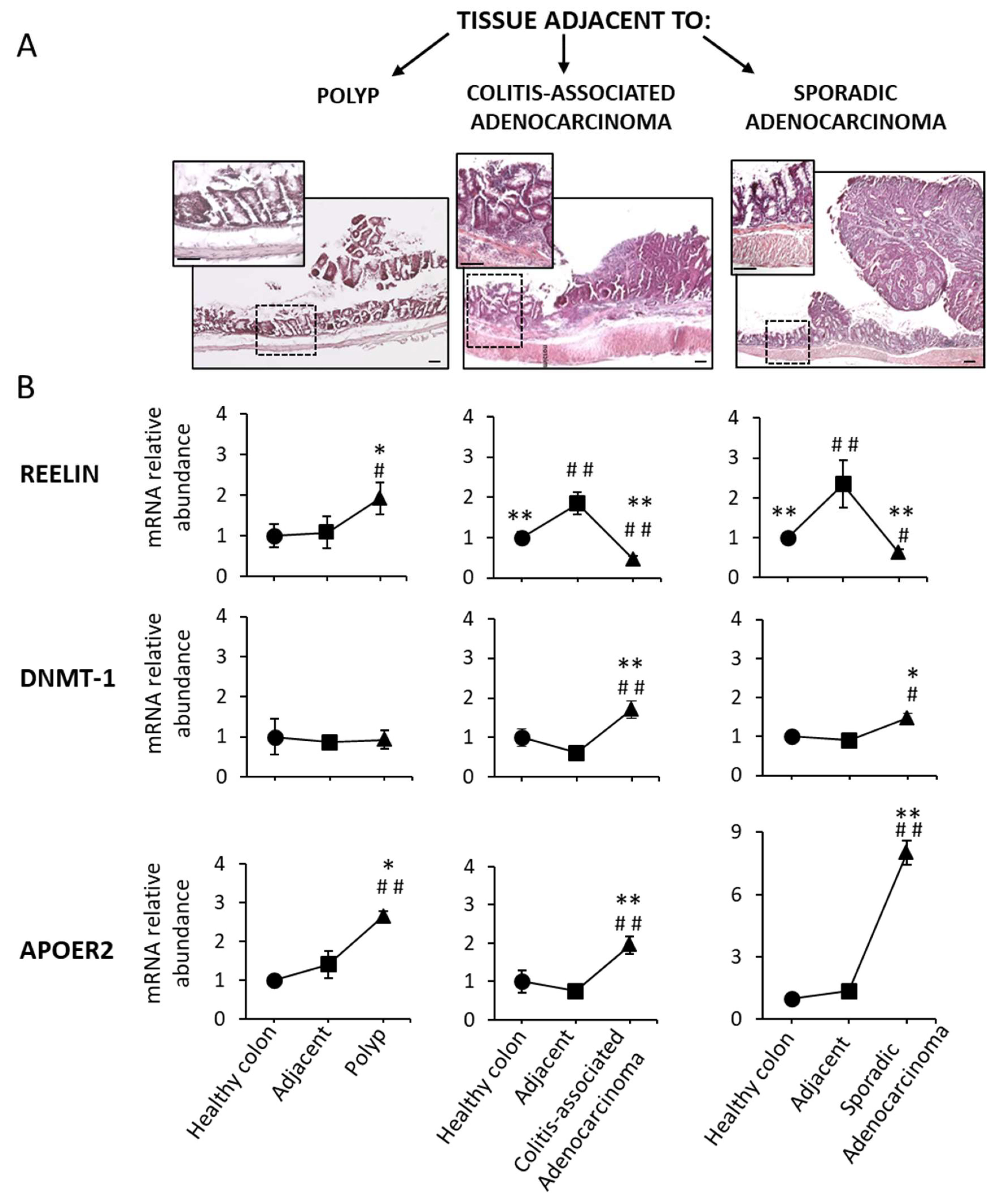 Biology 11 01406 g005 Biology 11 01406 g005
