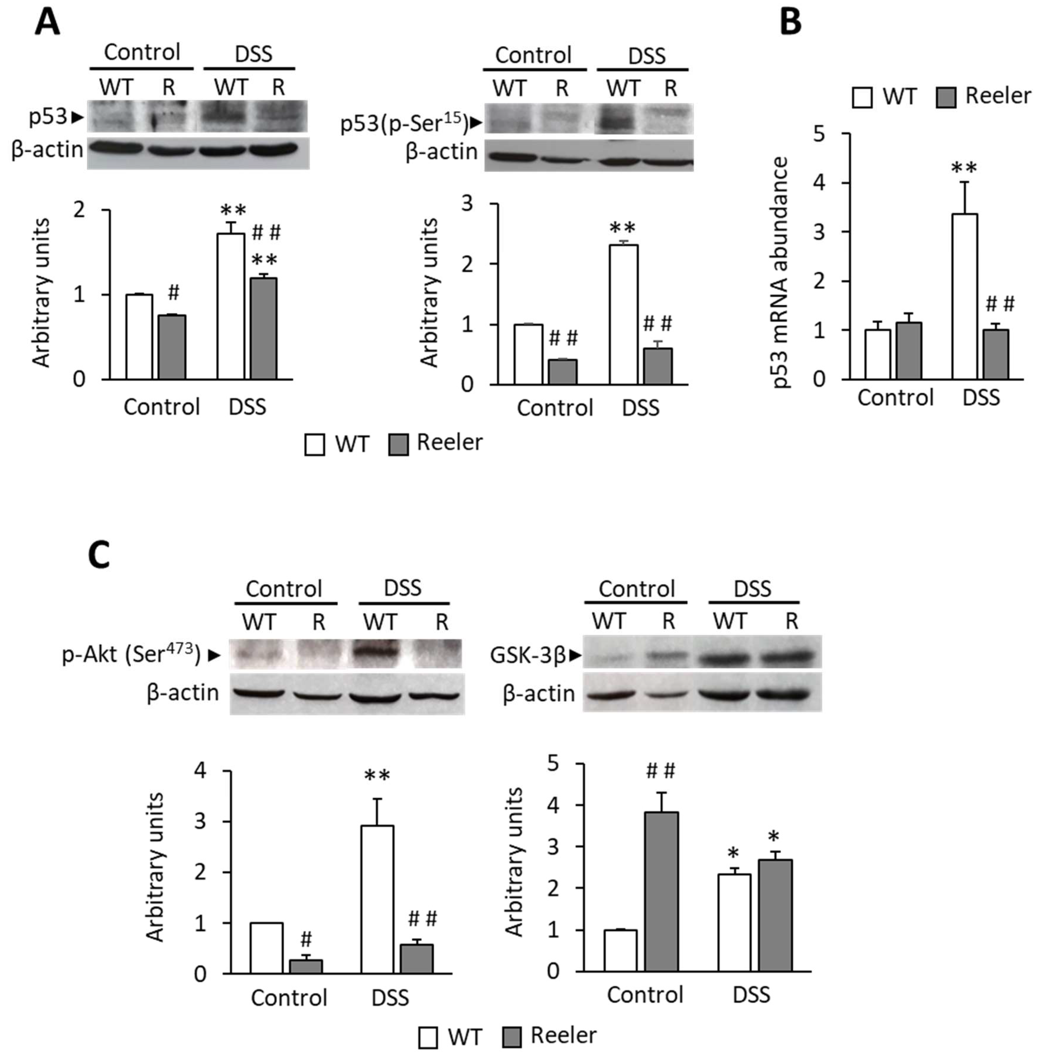 Biology 11 01406 g006 Biology 11 01406 g006