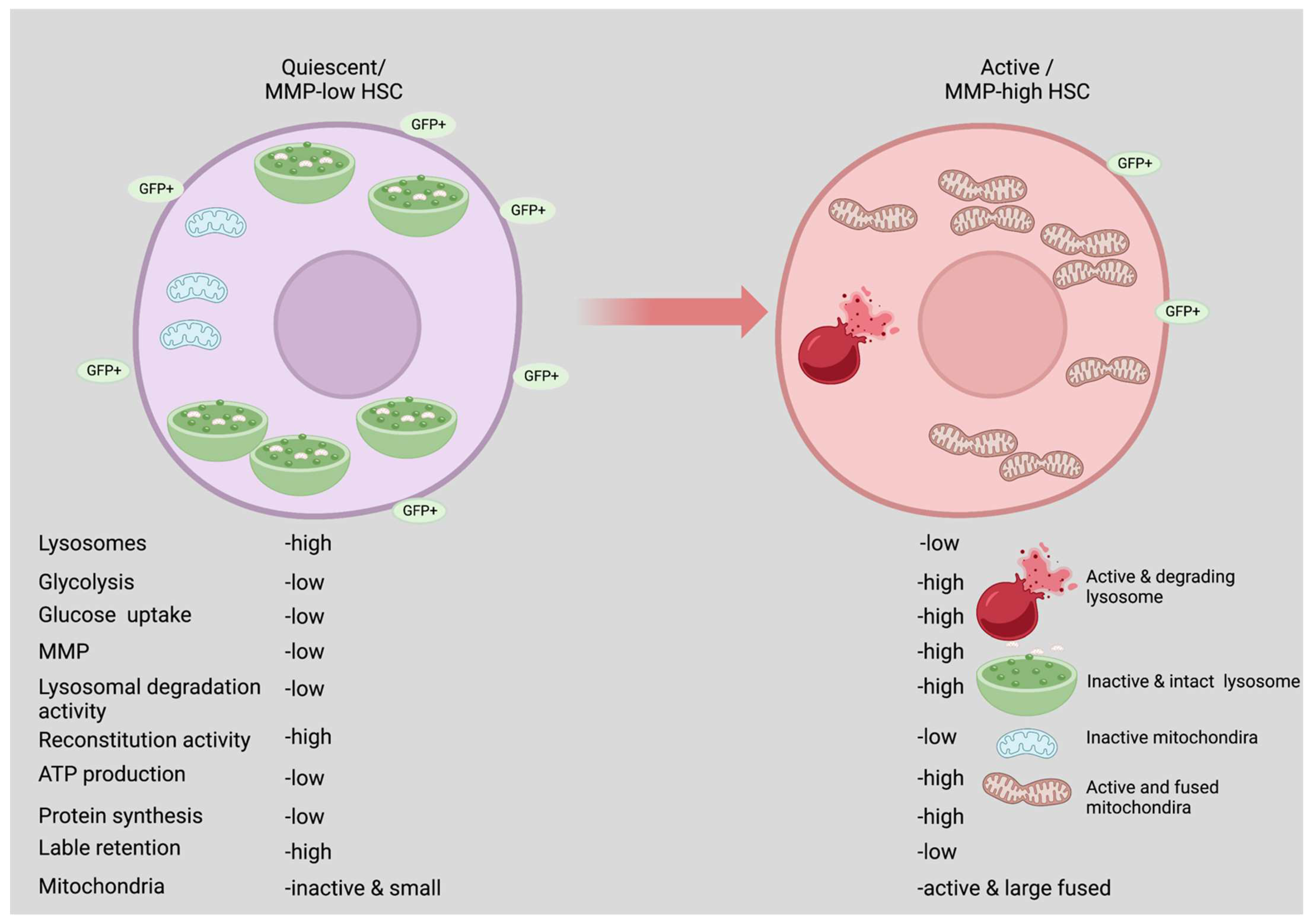 Biology 11 01410 g001